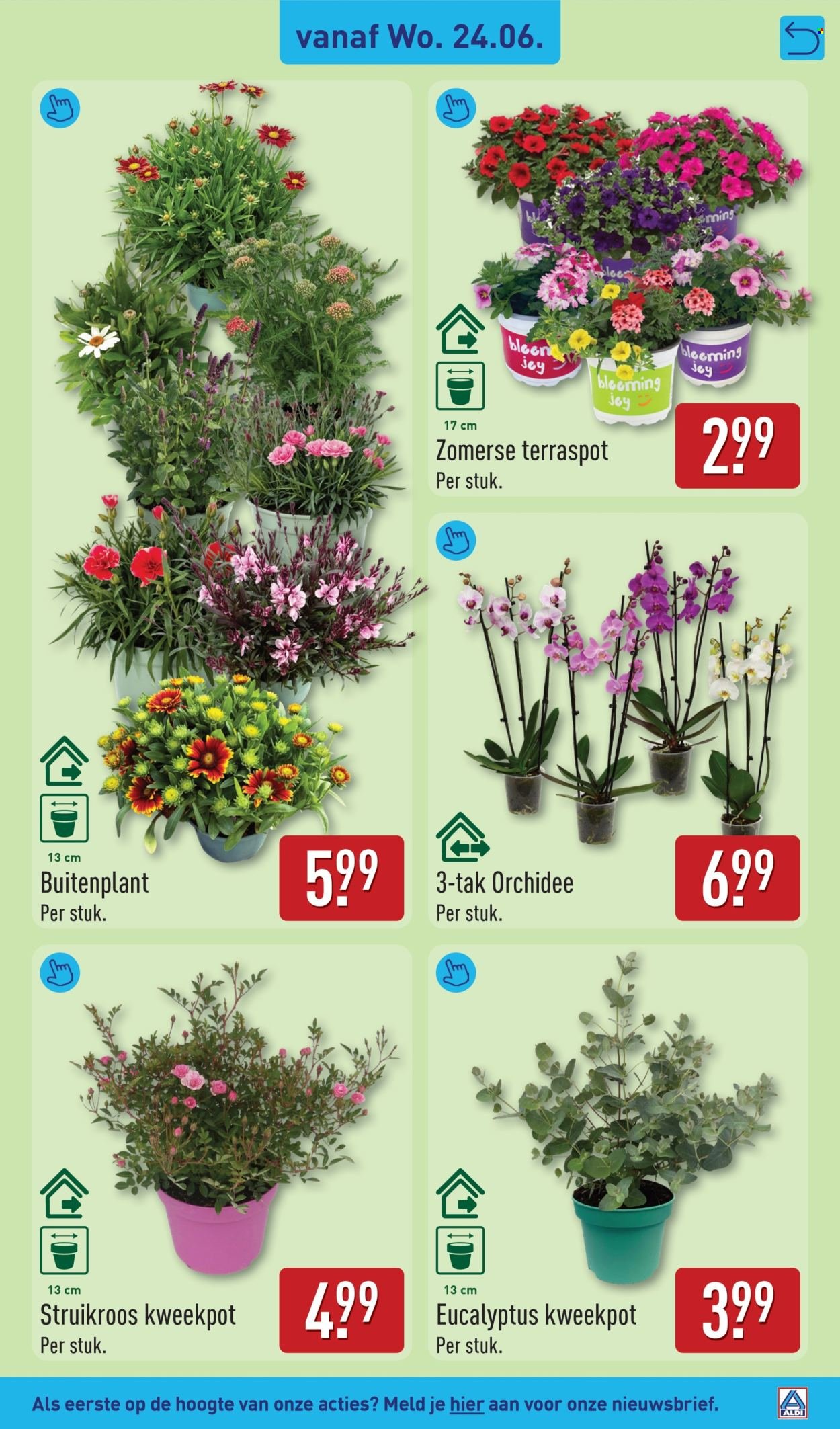 ALDI folder - Van maandag 22 juni 2026