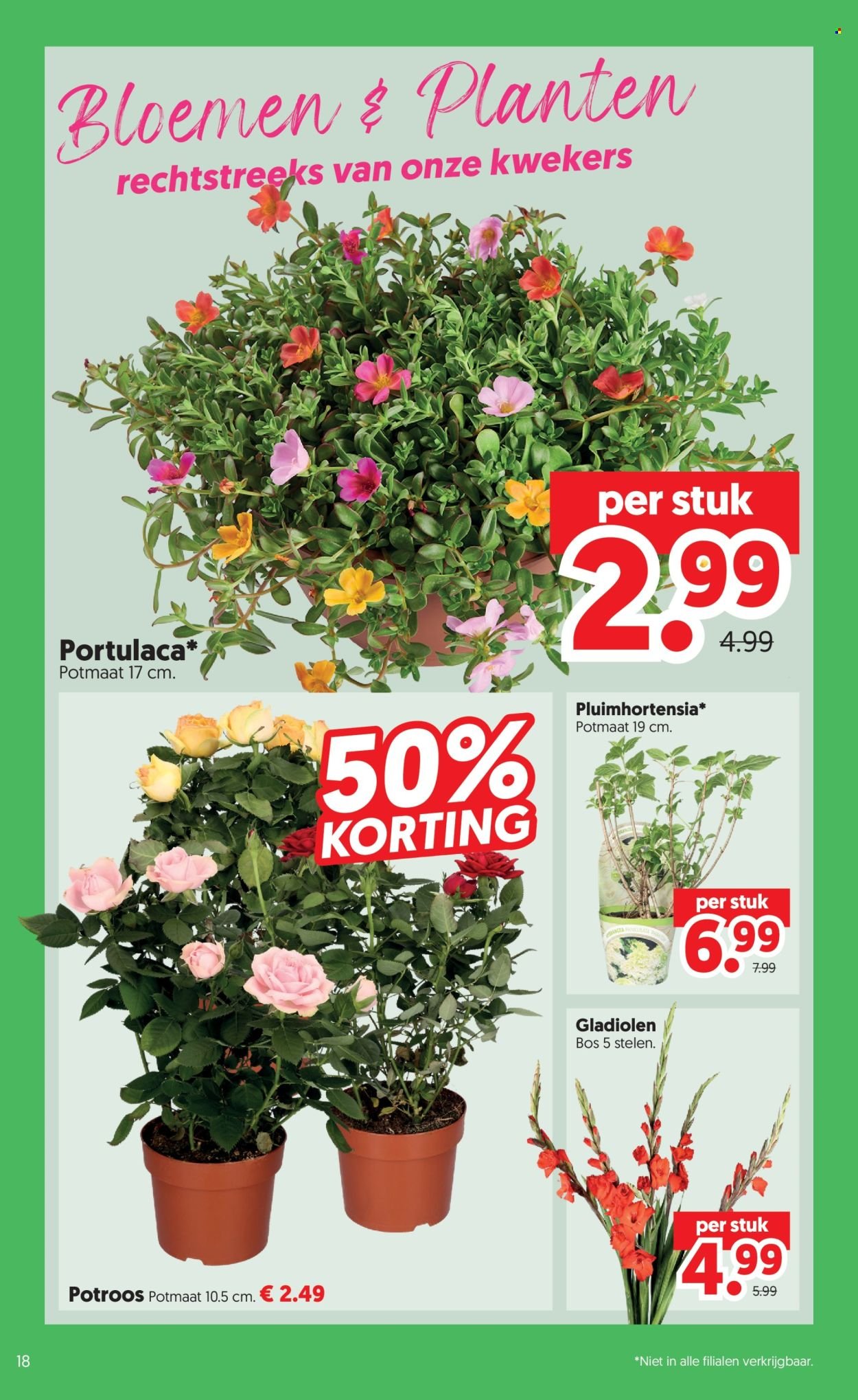 DEKAMARKT folder - Van dinsdag 7 juli 2026