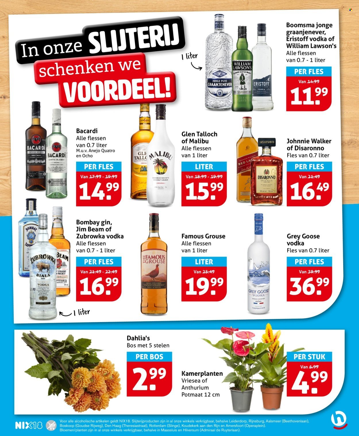 HOOGVLIET folder - Van woensdag 20 augustus 2025 (2025-08-20 - 2025-08-26)