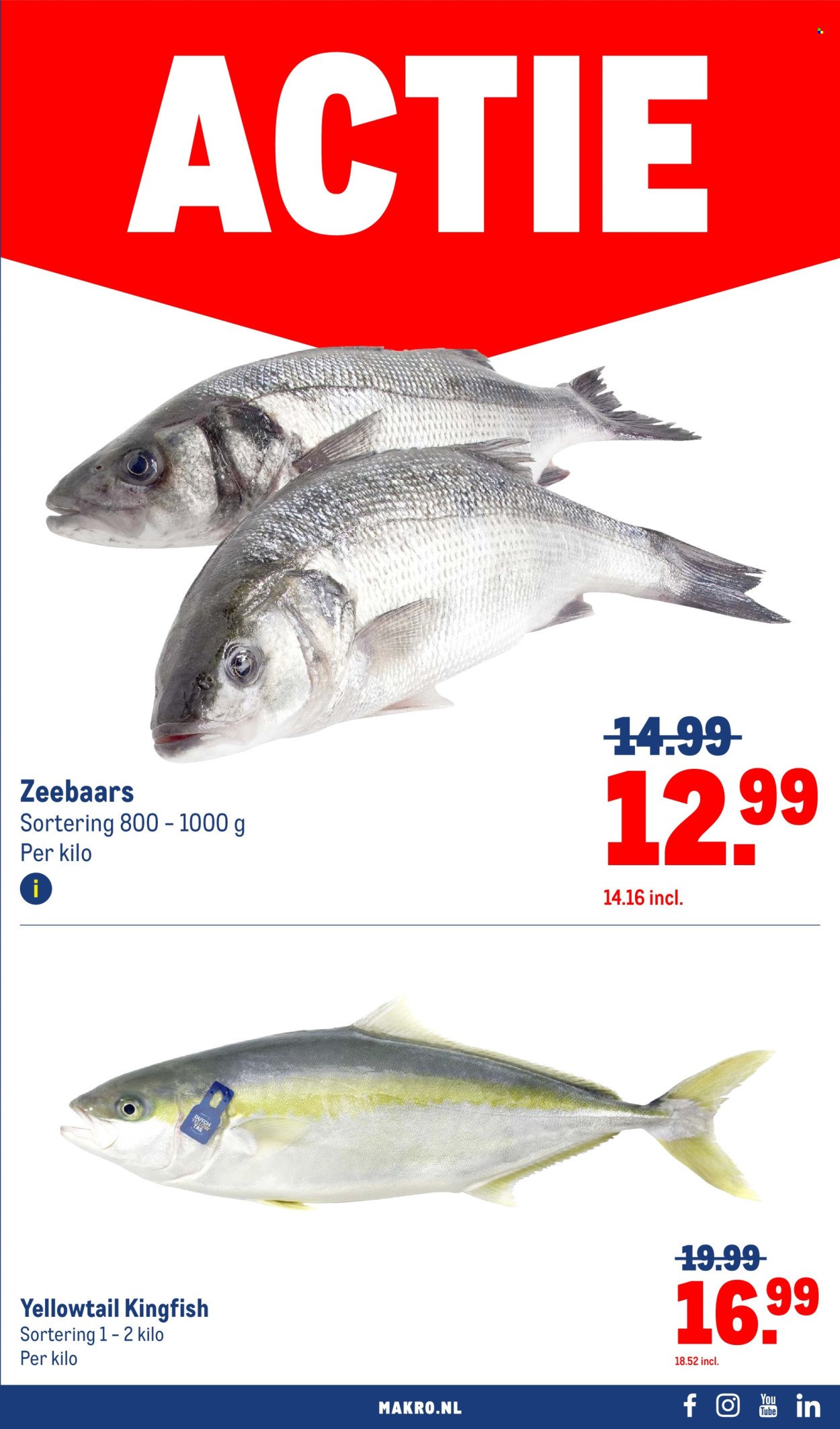 MAKRO folder - Food (2025-10-08 - 2025-10-21)