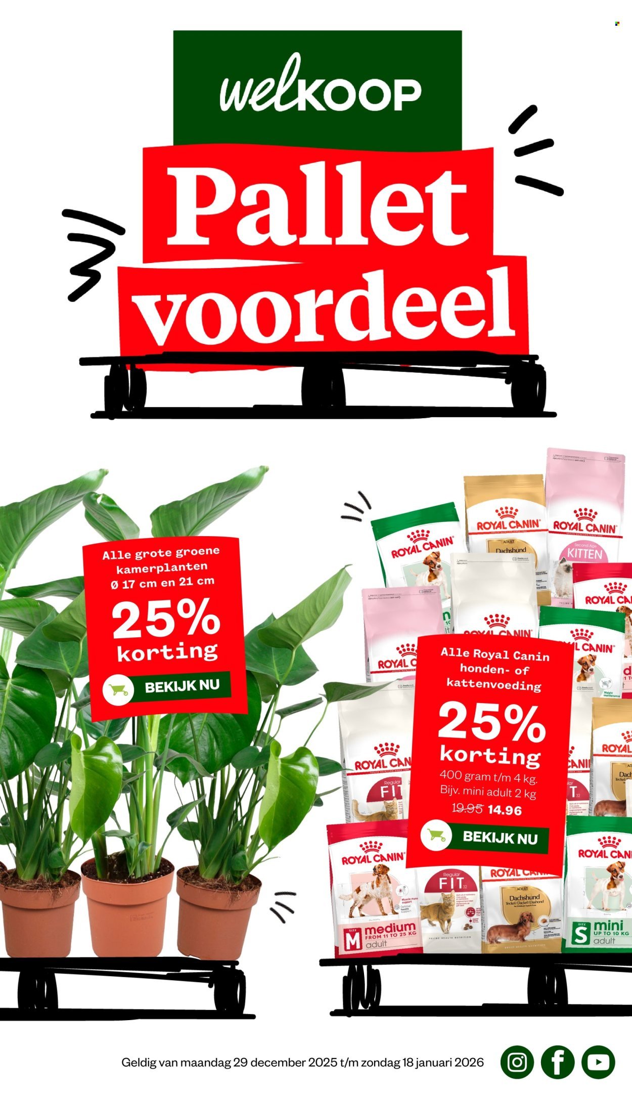 WELKOOP folder - Van maandag 29 december 2025
