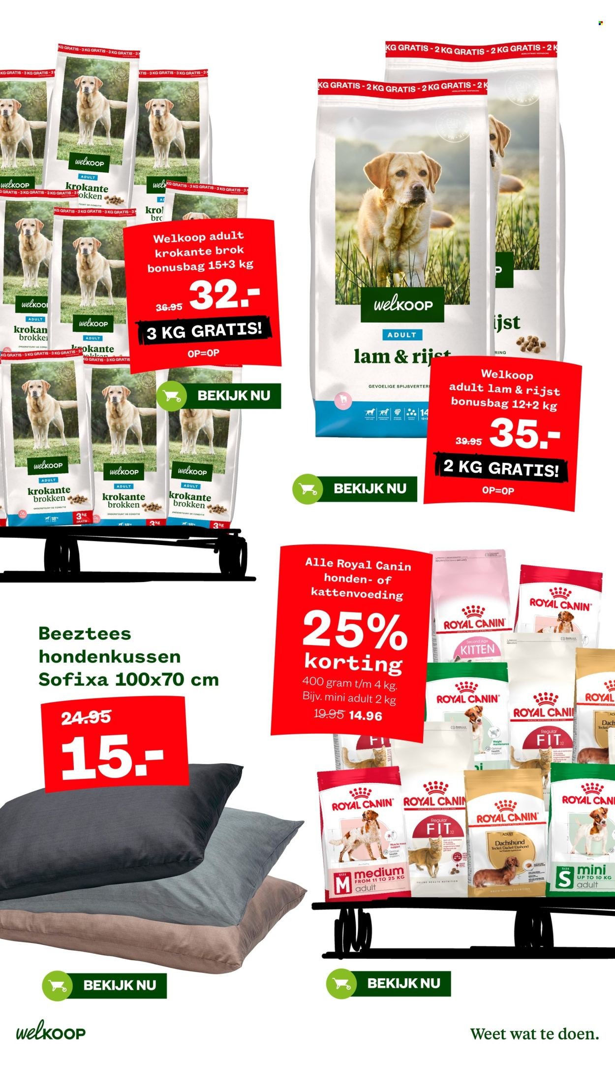 WELKOOP folder - Van maandag 29 december 2025