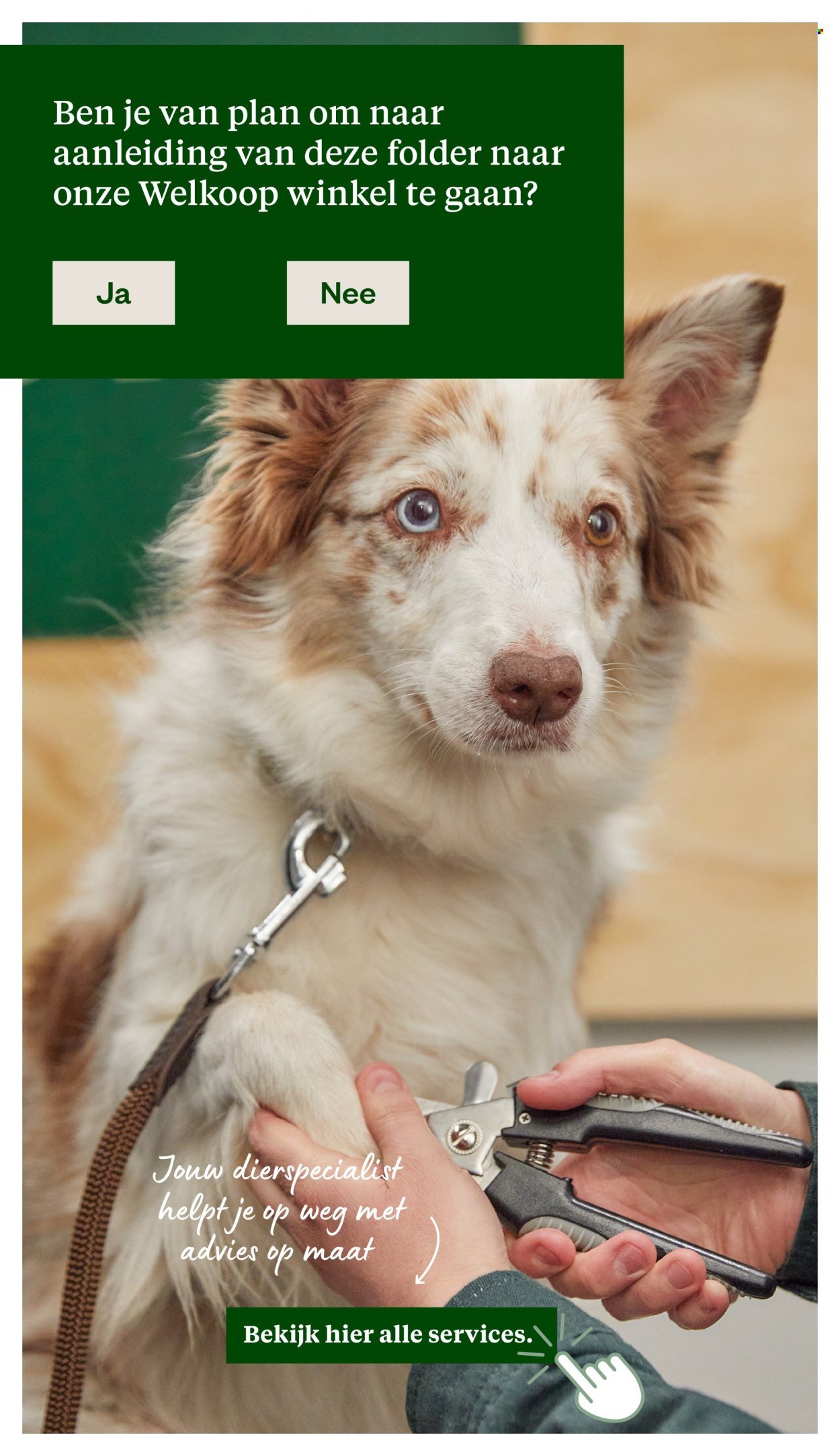 WELKOOP folder - Van maandag 29 december 2025