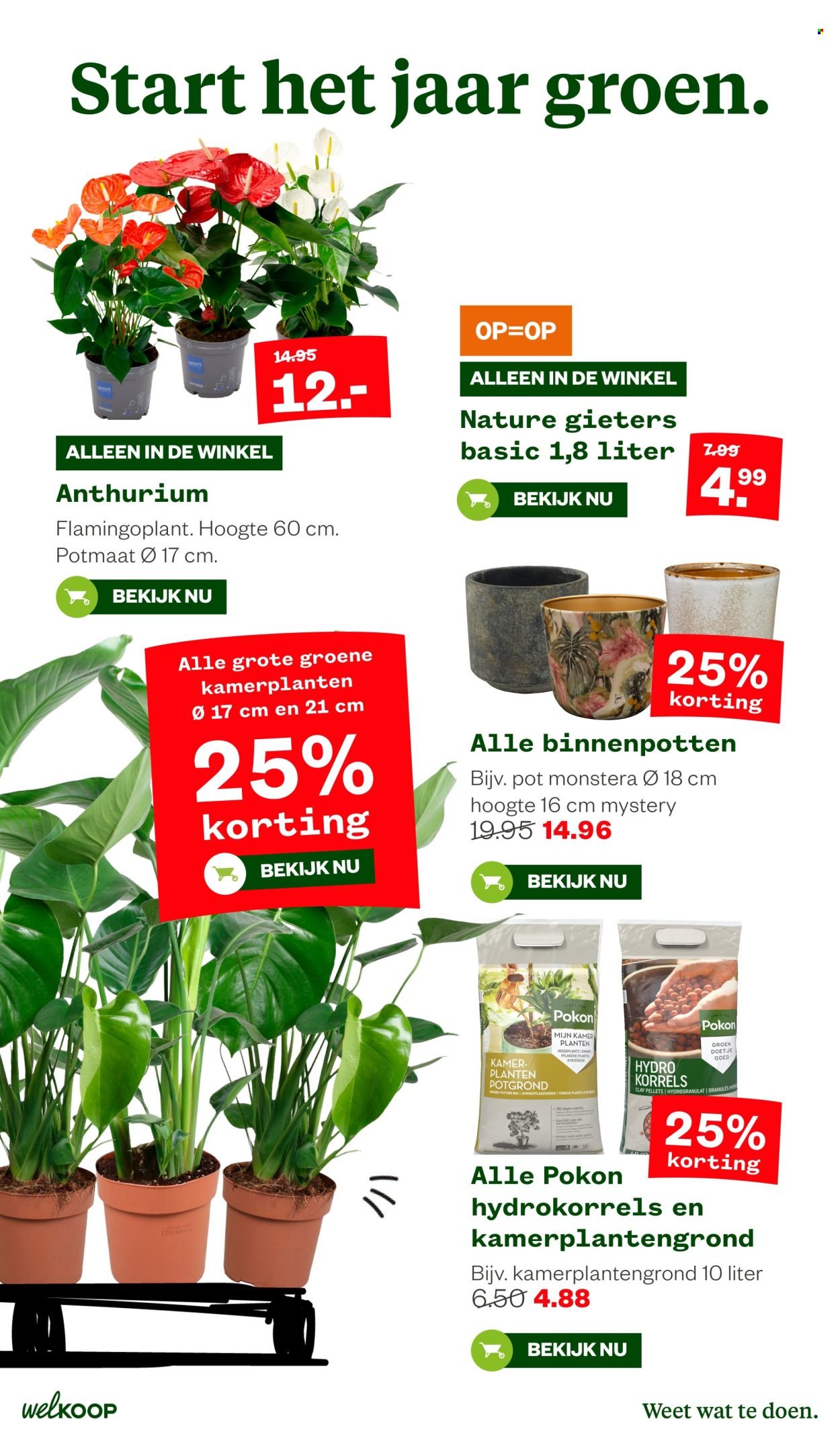 WELKOOP folder - Van maandag 29 december 2025