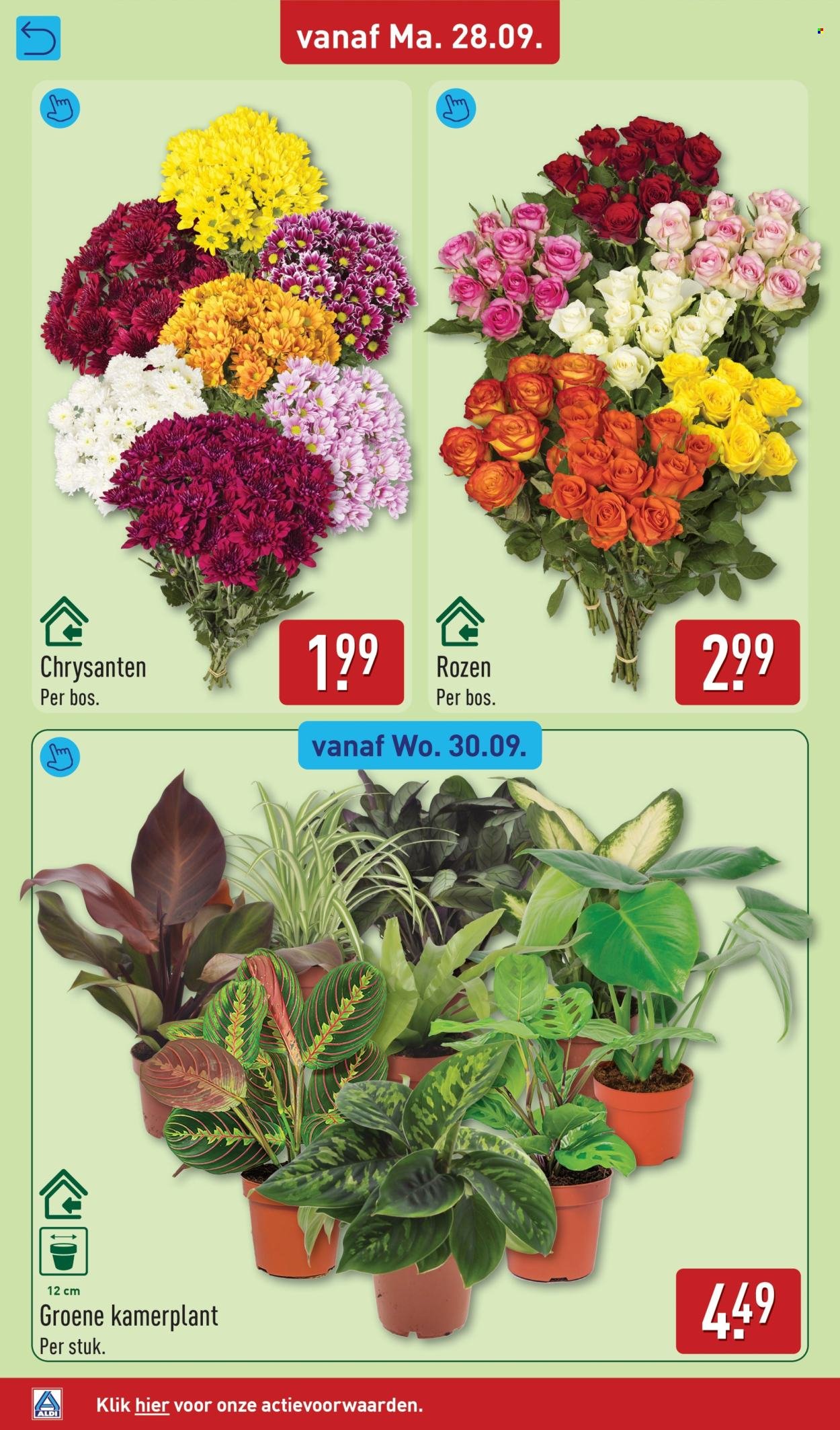 ALDI folder - Van maandag 28 september 2026
