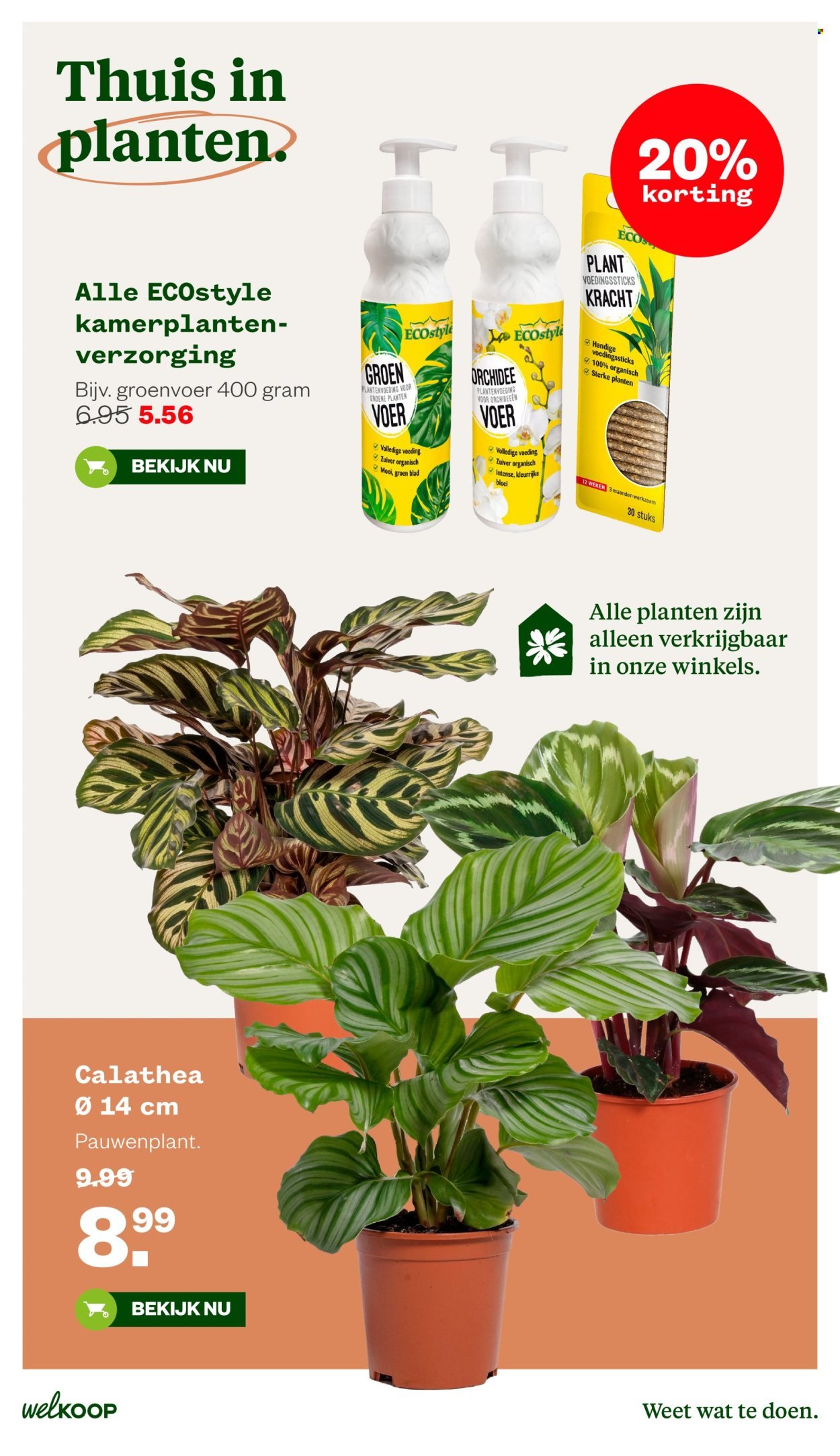 WELKOOP folder - Van maandag 5 oktober 2026