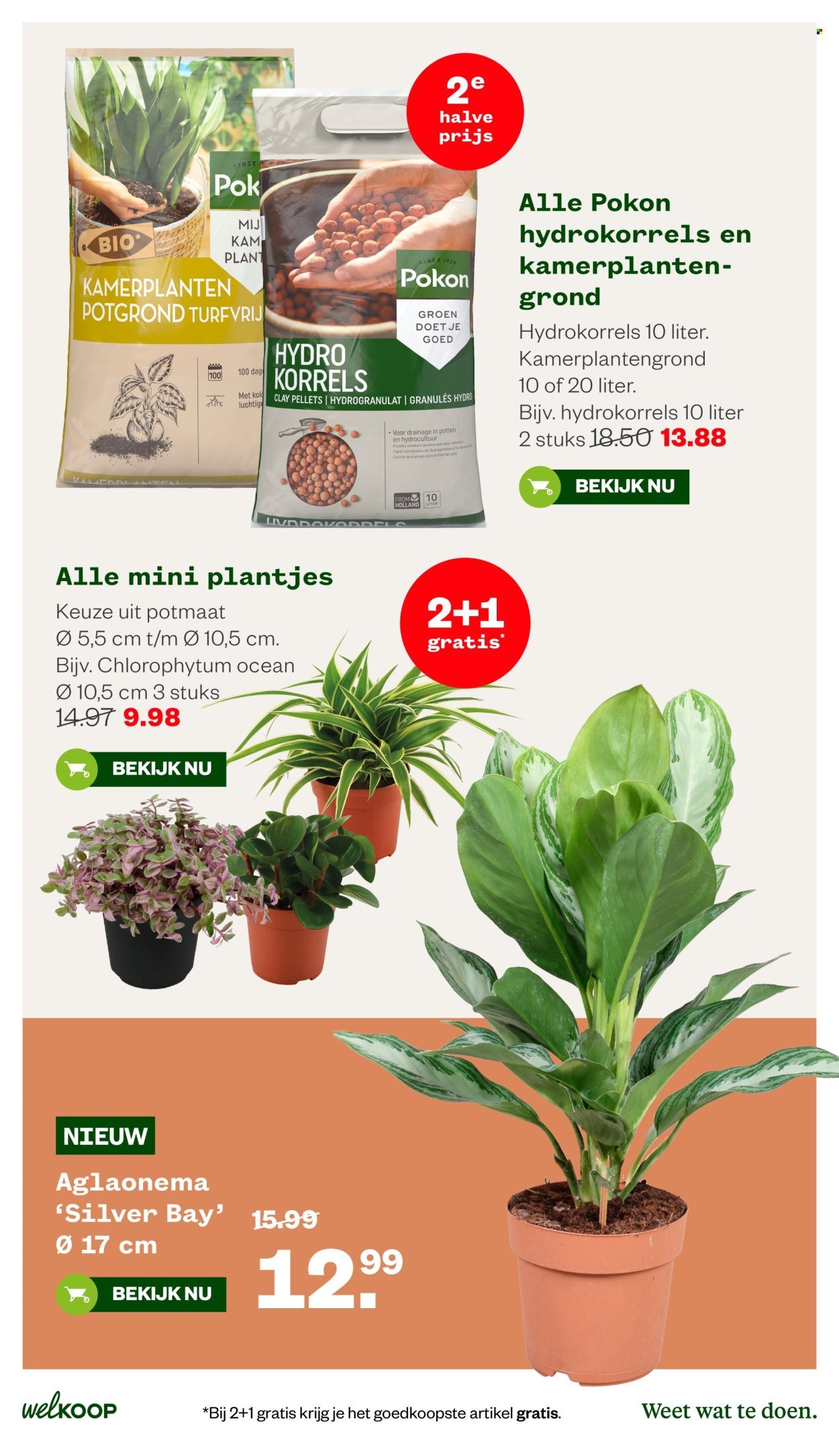 WELKOOP folder - Van maandag 5 oktober 2026