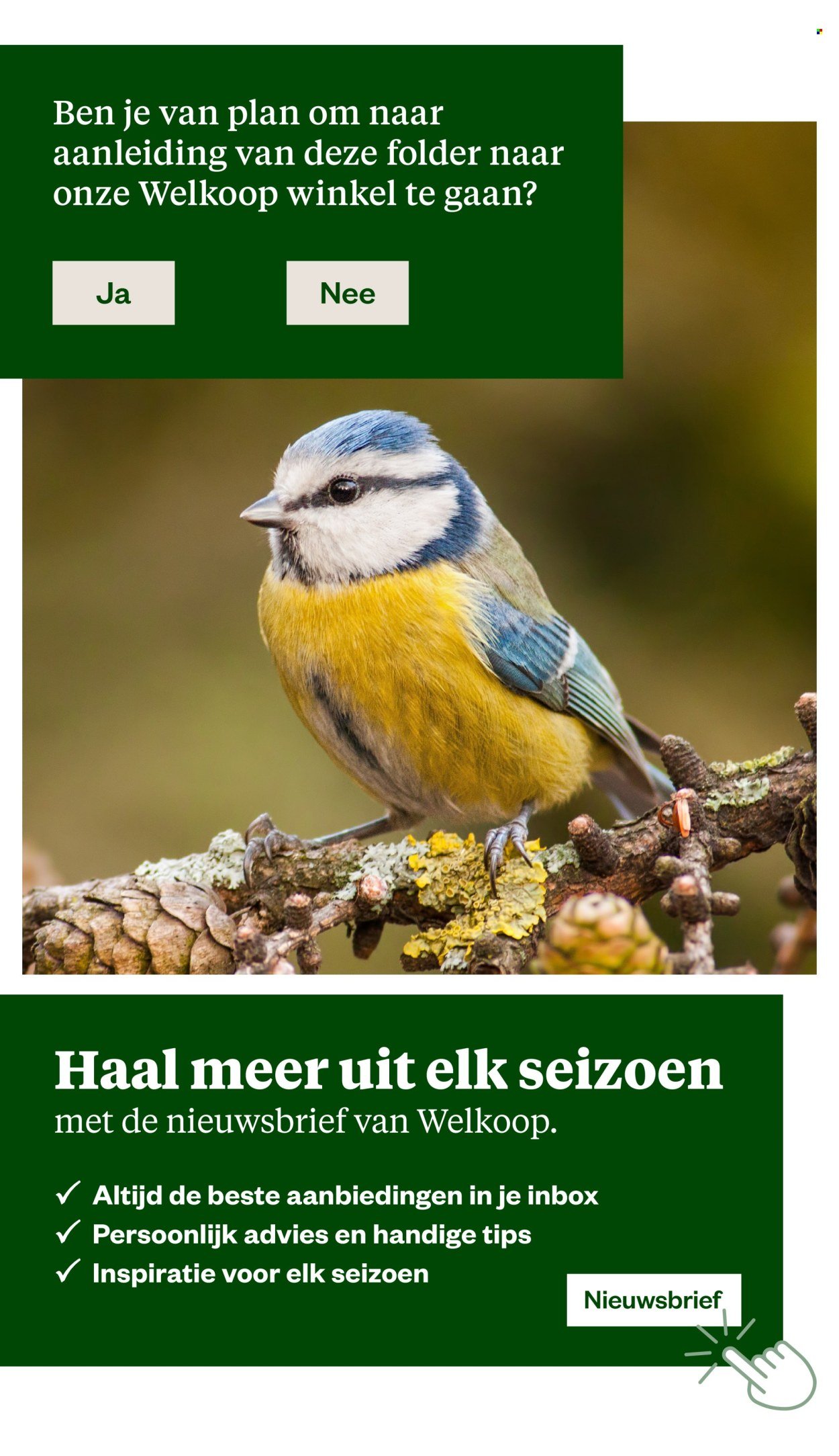 WELKOOP folder - Van maandag 5 oktober 2026