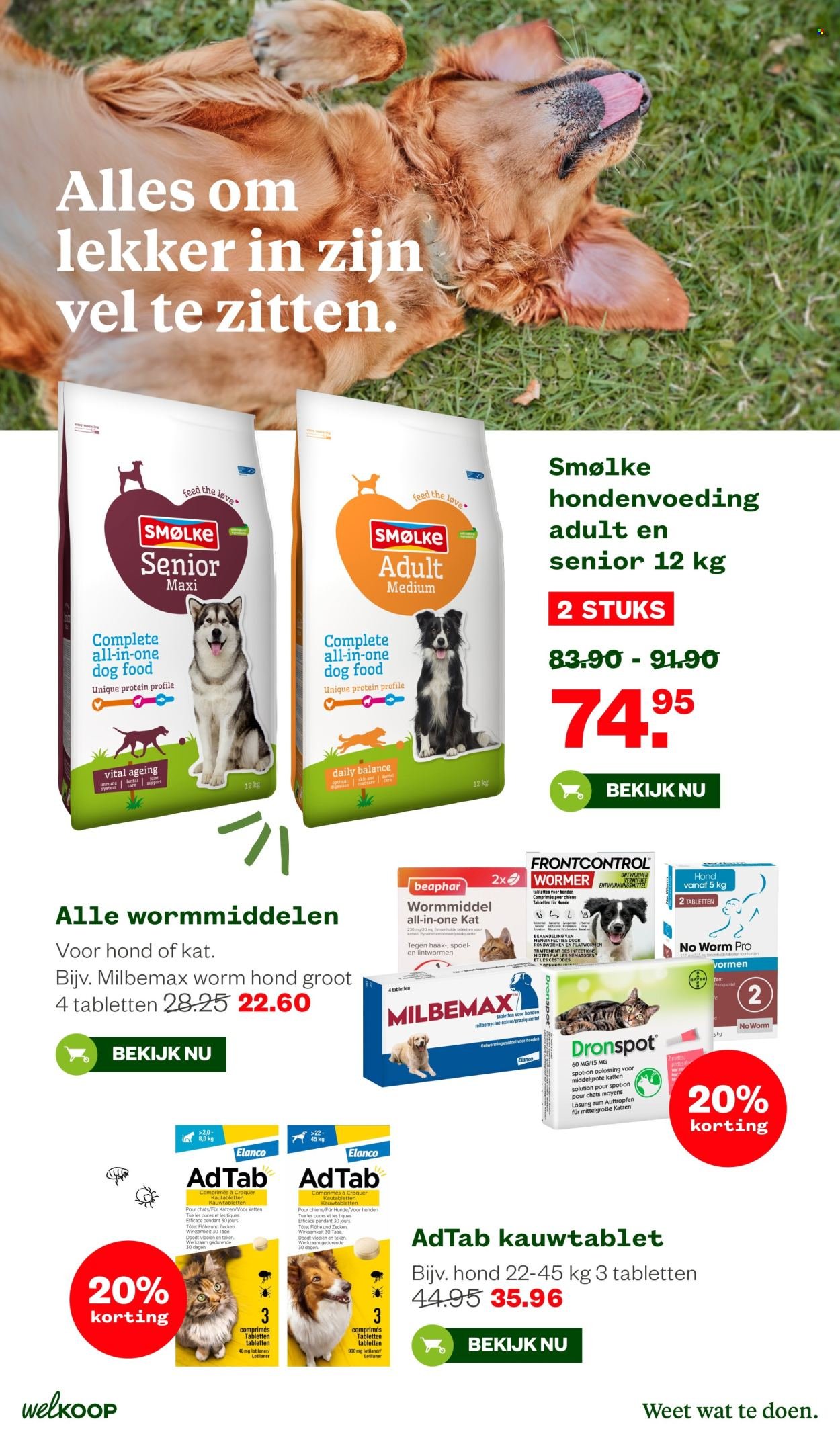 WELKOOP folder - Van maandag 5 oktober 2026