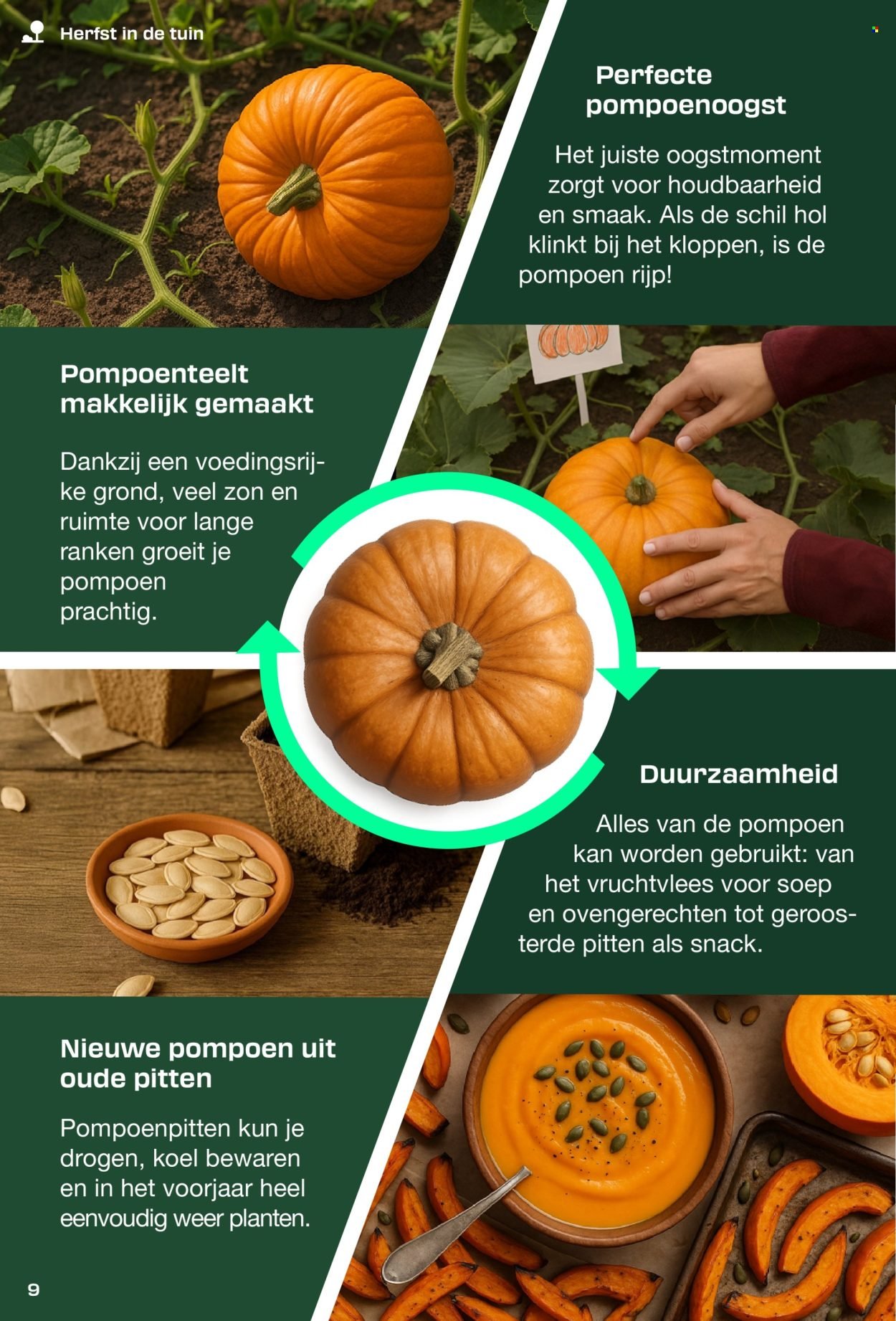 LIDL folder - DIY-Tijdschrift - PARKSIDE (2025-09-05)