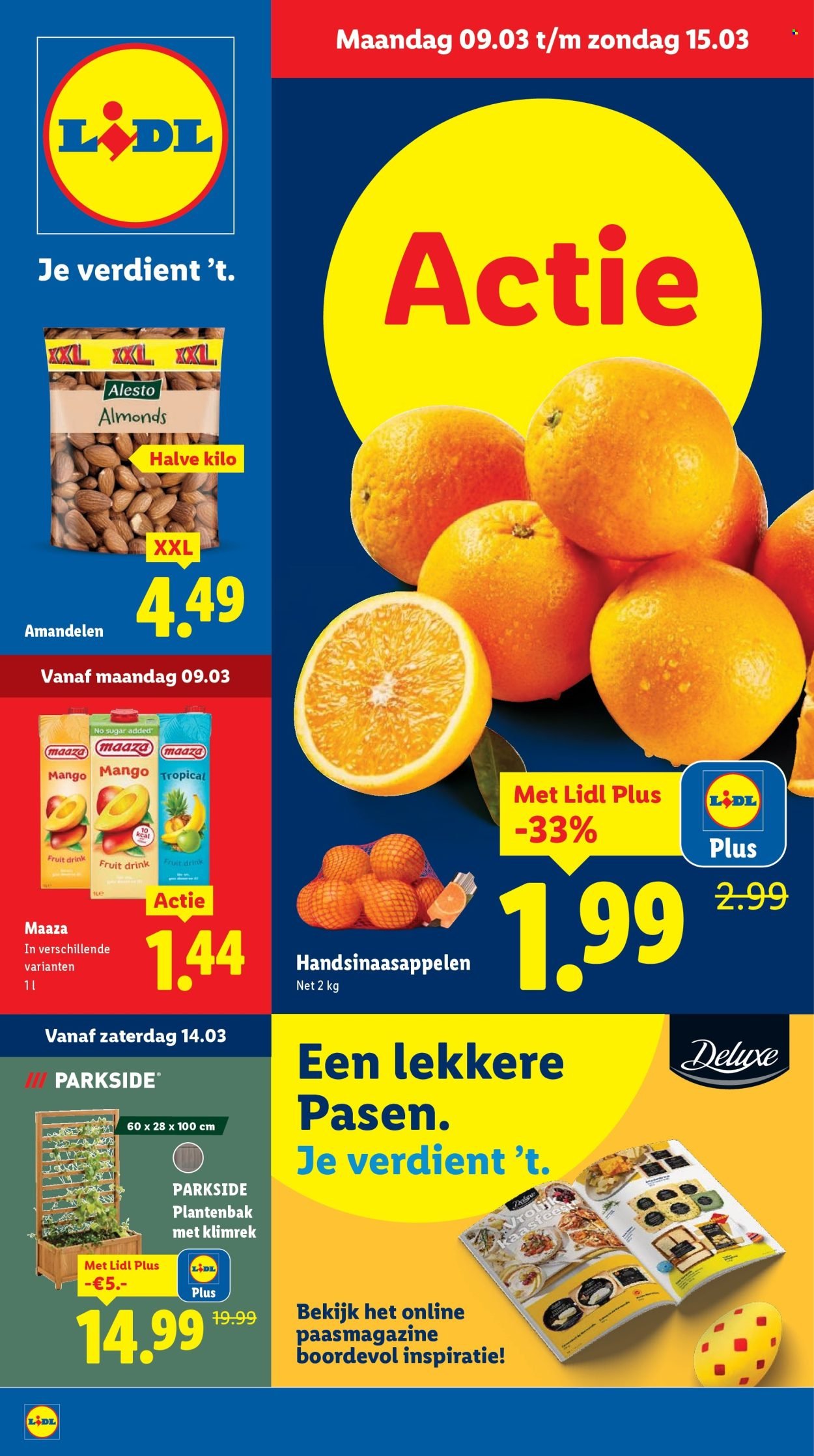 LIDL folder - Week 11