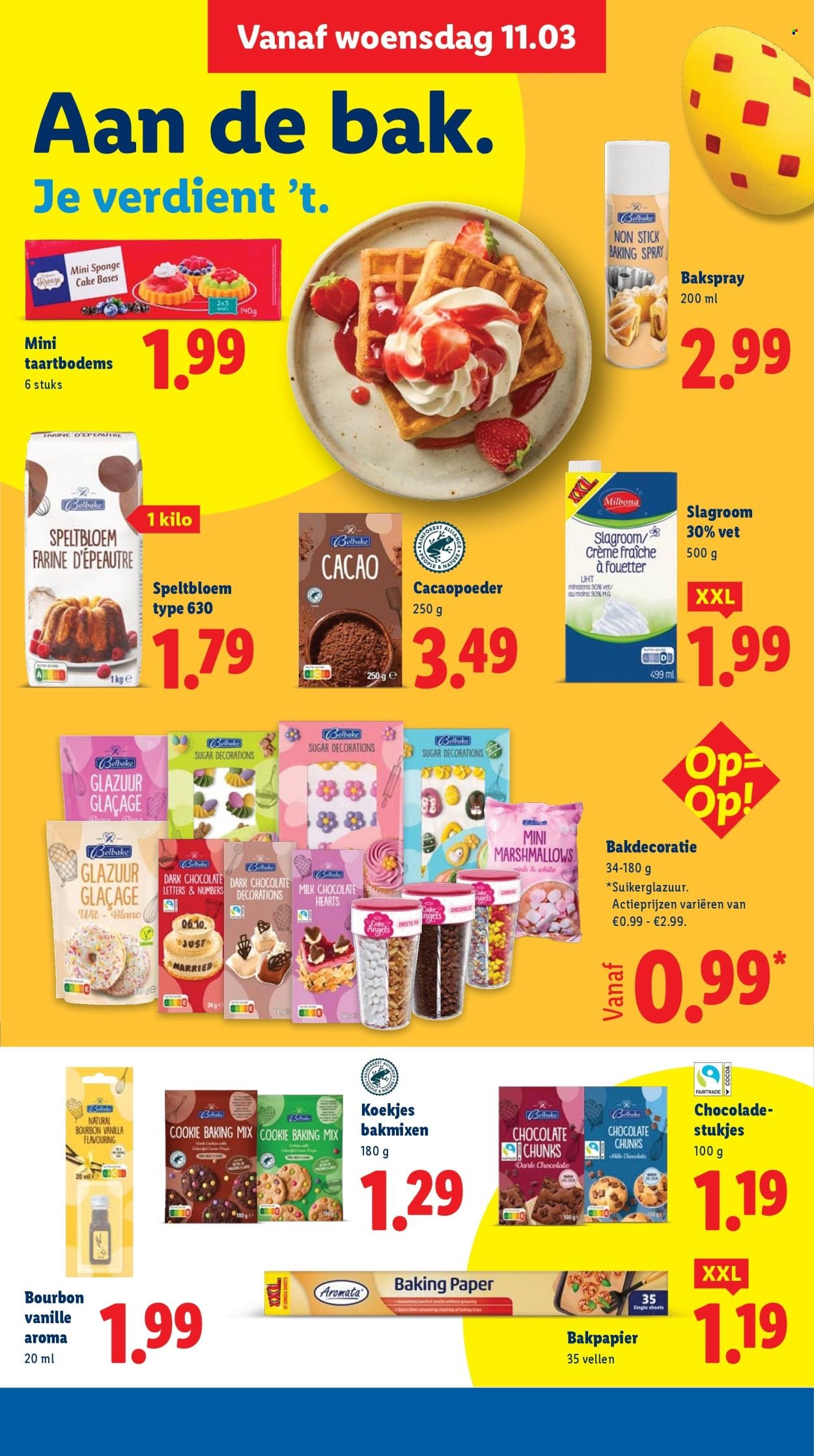 LIDL folder - Week 11