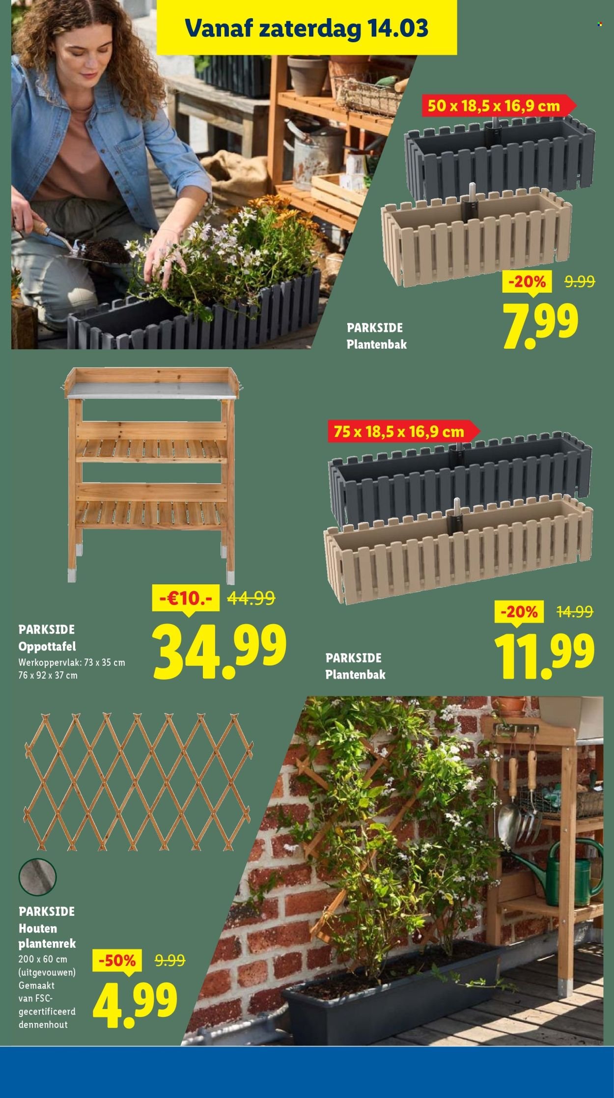 LIDL folder - Week 11