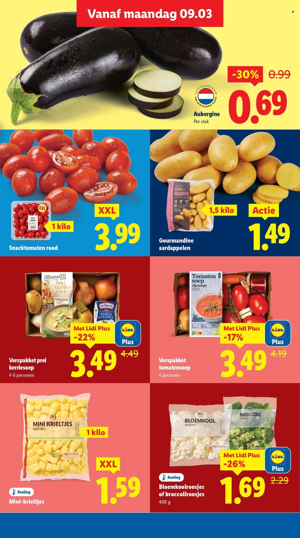 LIDL folder - Week 11