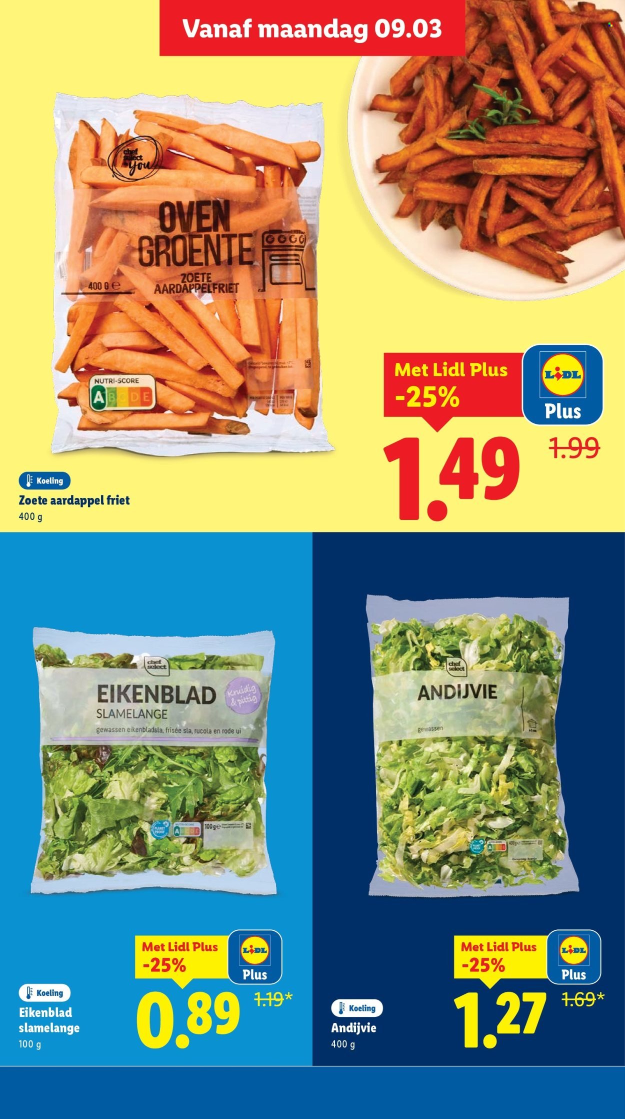LIDL folder - Week 11
