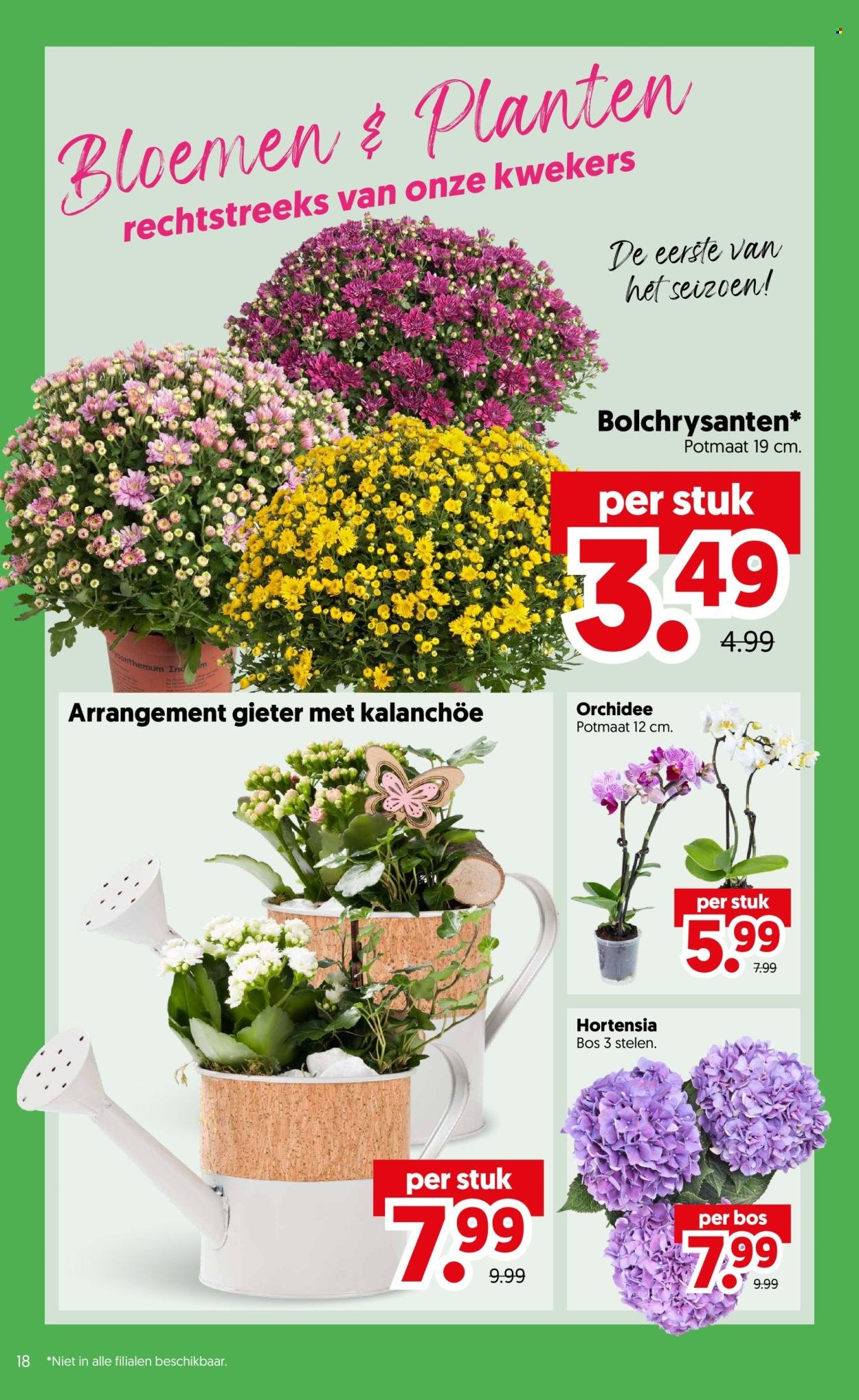 DEKAMARKT folder - Van dinsdag 21 juli 2026