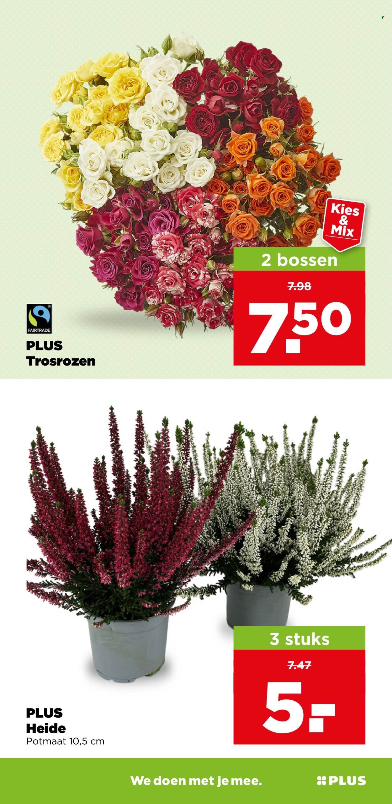 PLUS folder - Van woensdag 23 september 2026