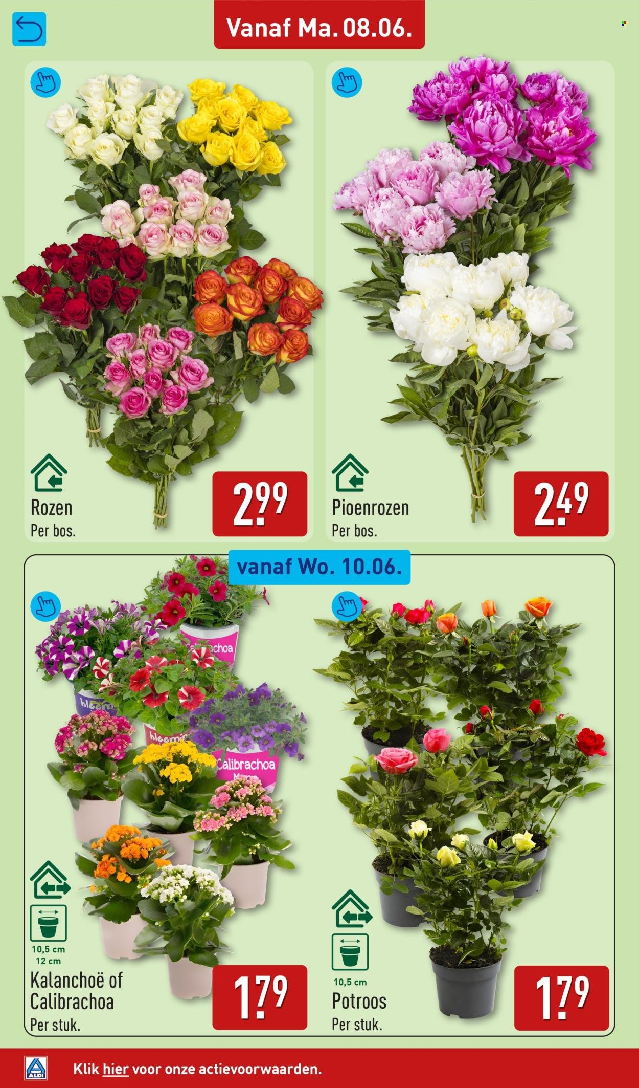 ALDI folder - Van maandag 8 juni 2026