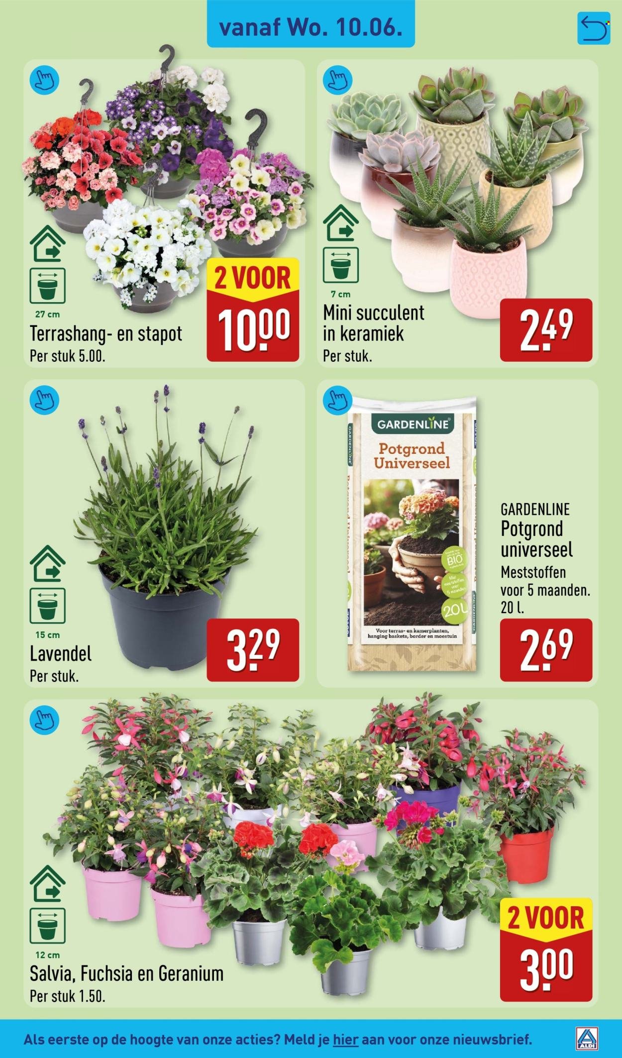 ALDI folder - Van maandag 8 juni 2026