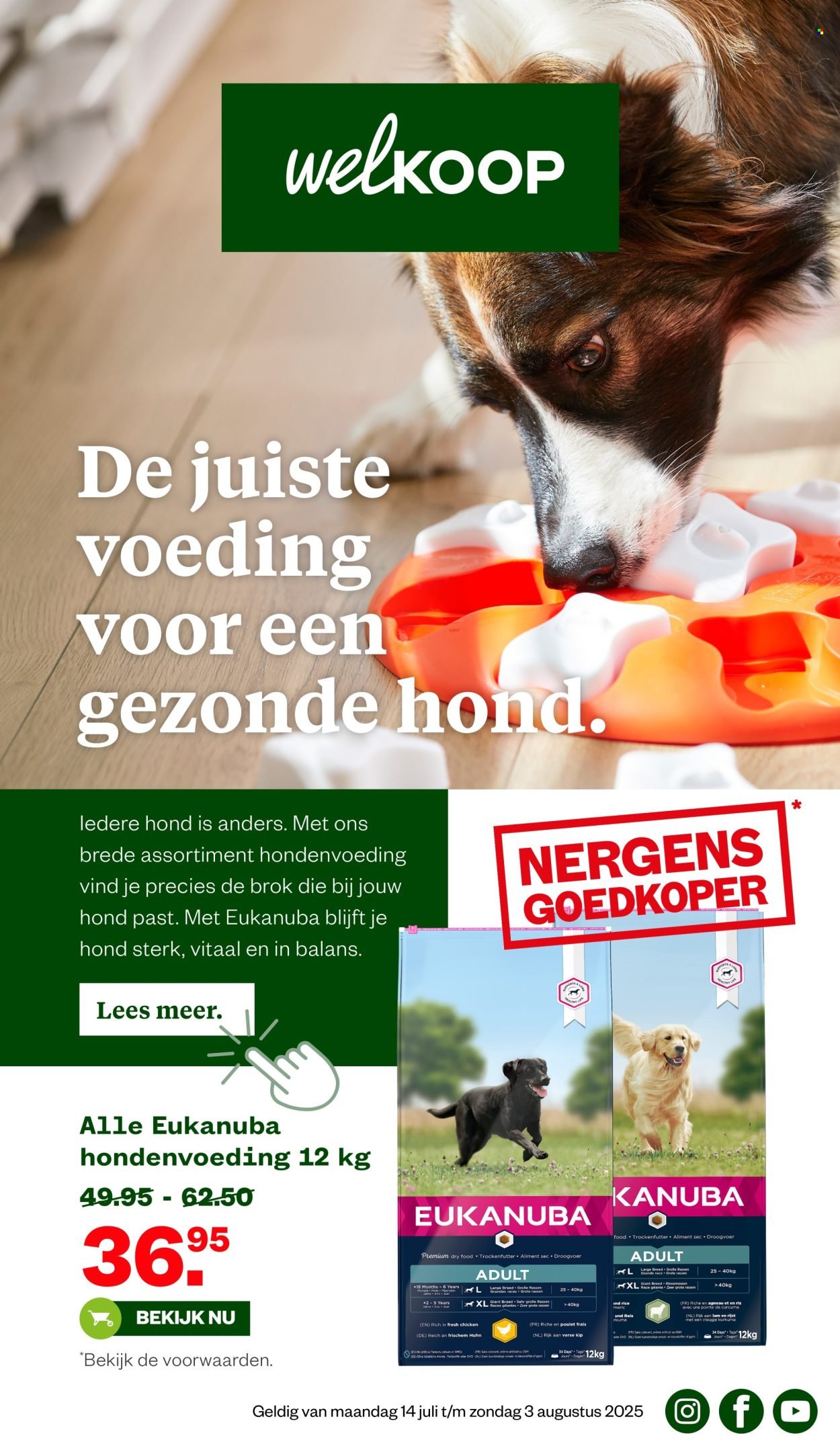 WELKOOP folder - Van maandag 14 juli 2025 (2025-07-14 - 2025-08-03)