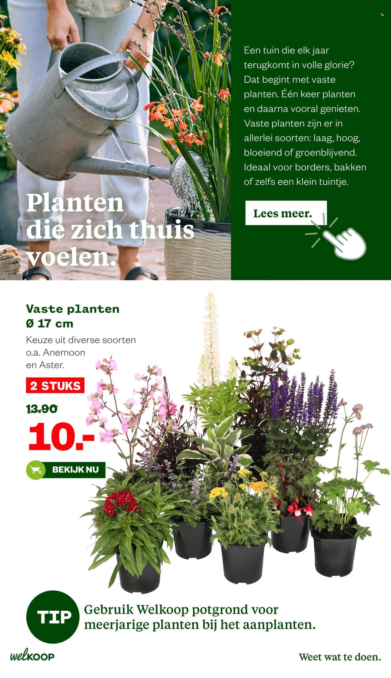 WELKOOP folder - Van maandag 14 juli 2025 (2025-07-14 - 2025-08-03)