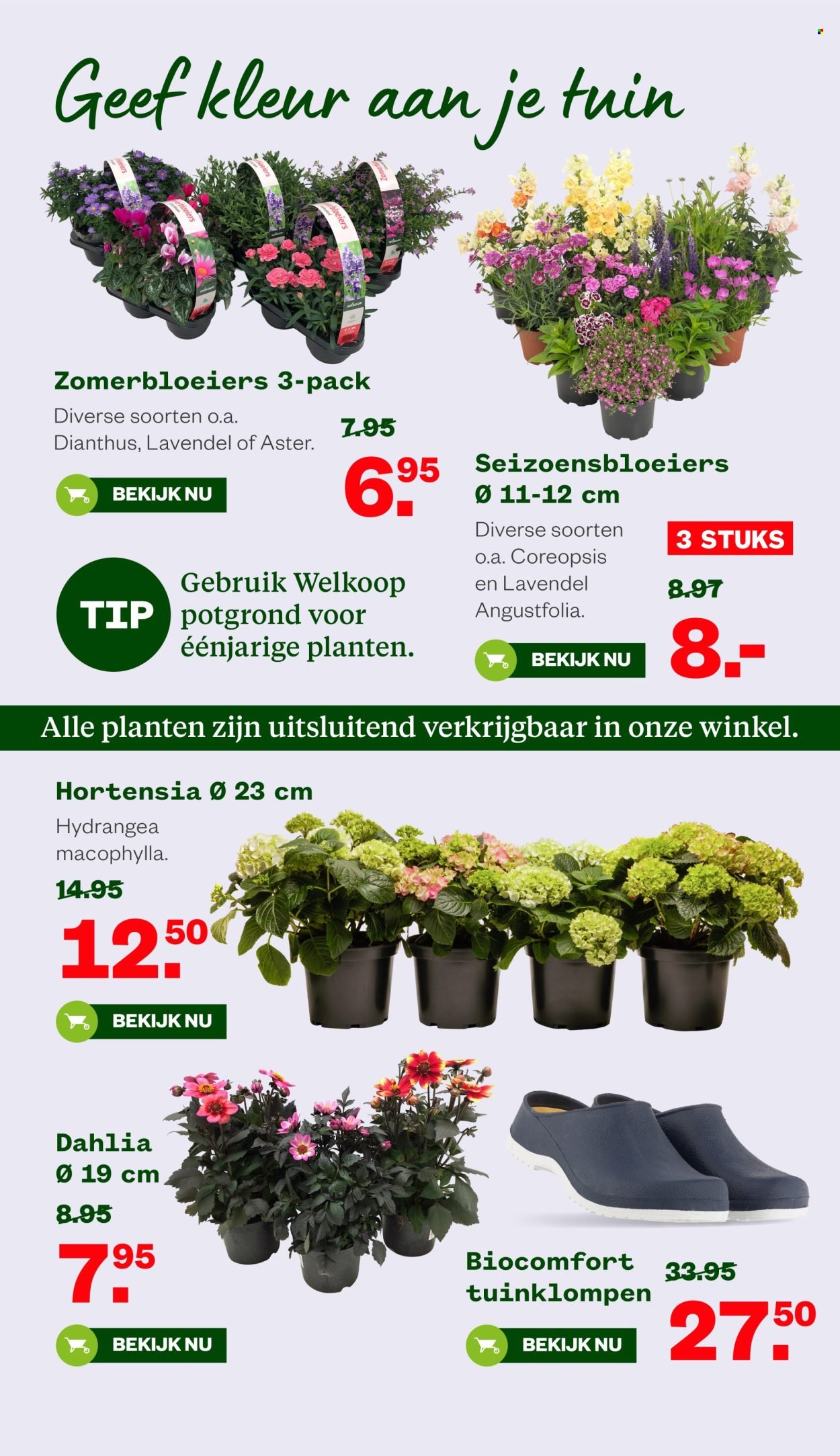 WELKOOP folder - Van maandag 14 juli 2025 (2025-07-14 - 2025-08-03)