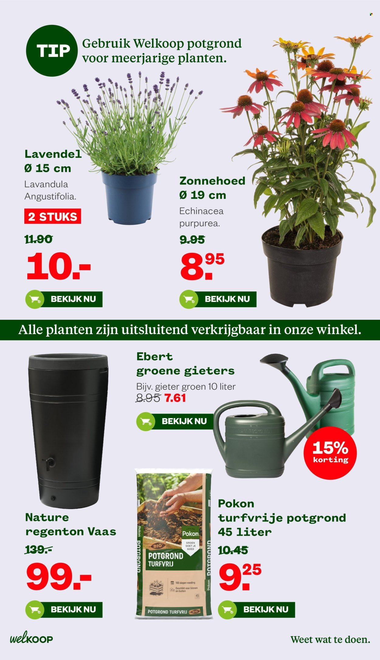 WELKOOP folder - Van maandag 14 juli 2025 (2025-07-14 - 2025-08-03)