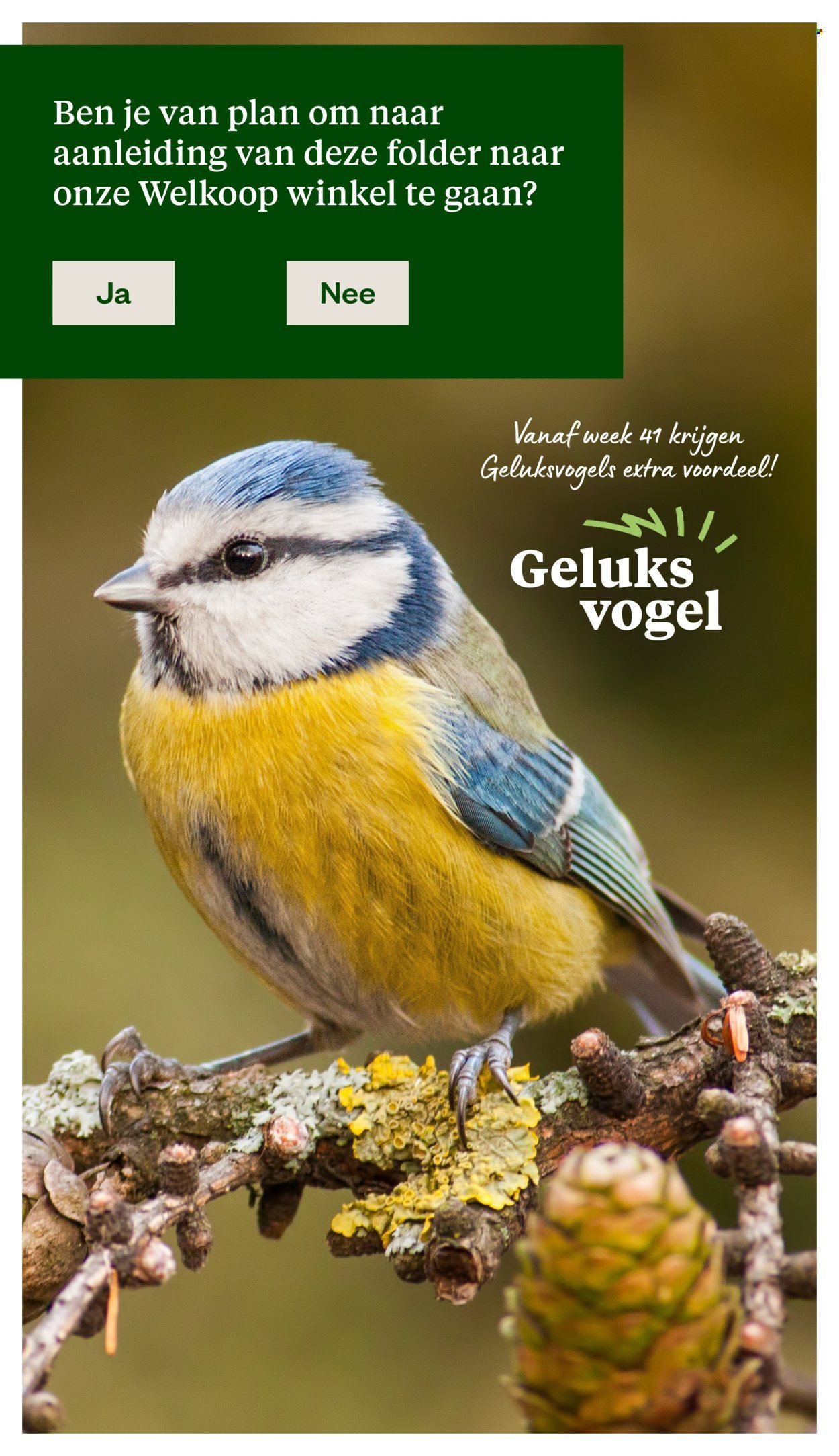 WELKOOP folder - Van maandag 22 september 2025 (2025-09-22 - 2025-10-05)
