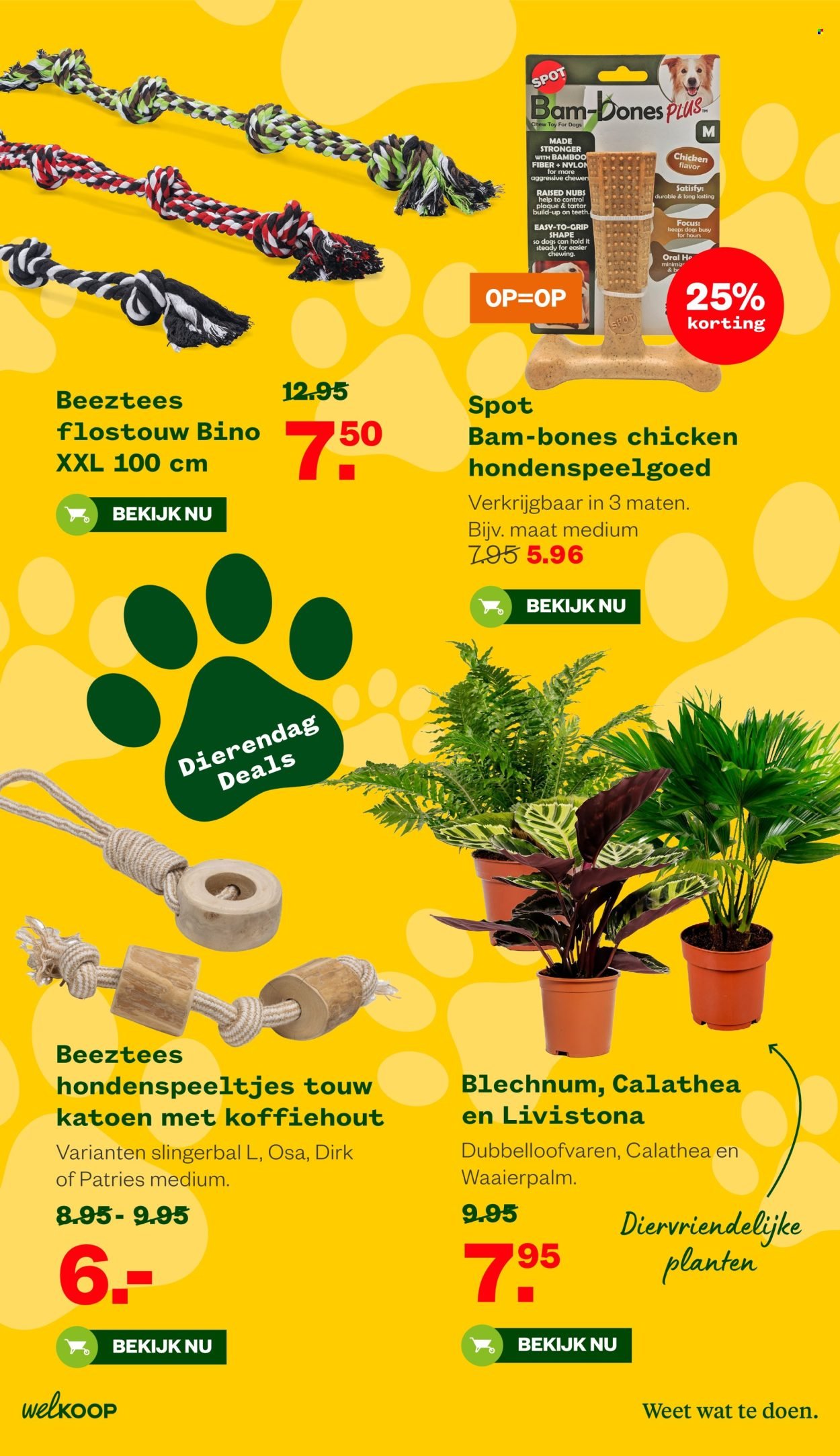 WELKOOP folder - Van maandag 22 september 2025 (2025-09-22 - 2025-10-05)