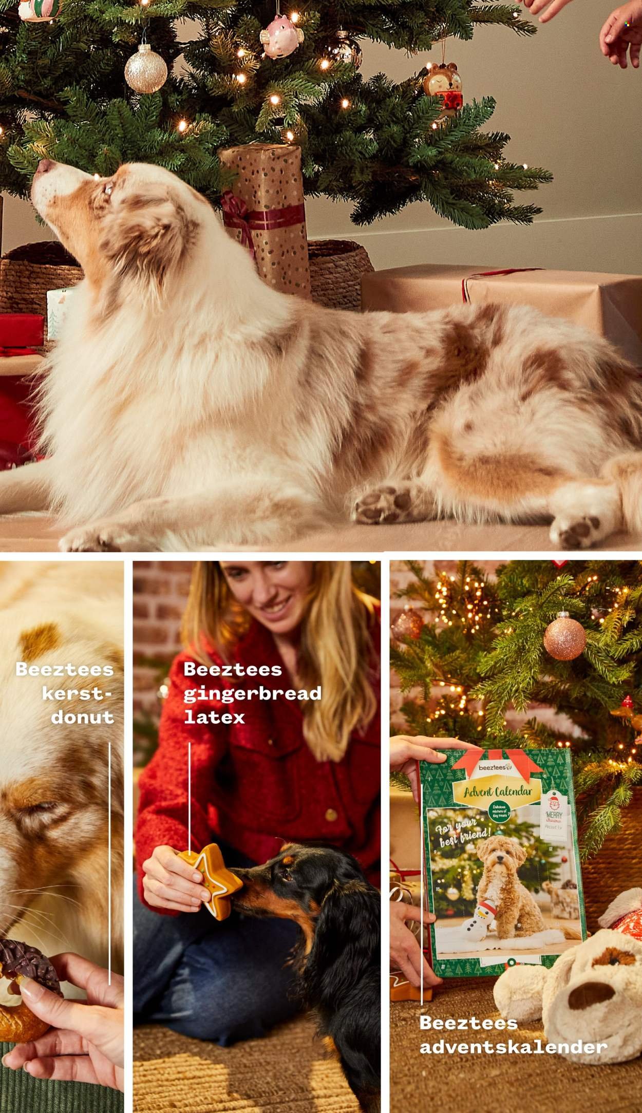 WELKOOP folder - Van maandag 24 november 2025