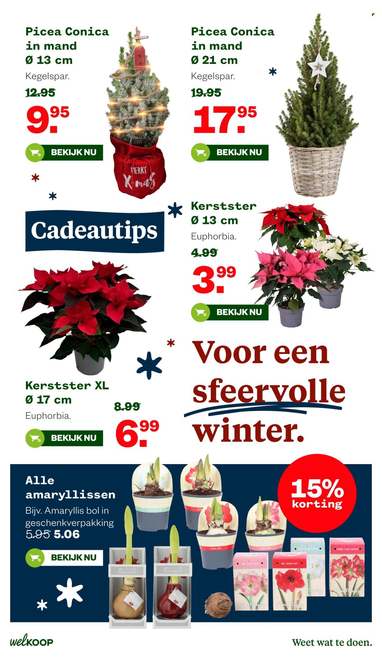 WELKOOP folder - Van maandag 24 november 2025