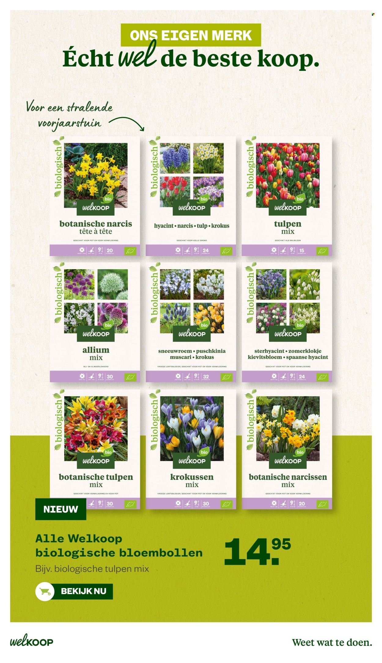 WELKOOP folder - Van maandag 6 oktober 2025 (2025-10-06 - 2025-10-19)