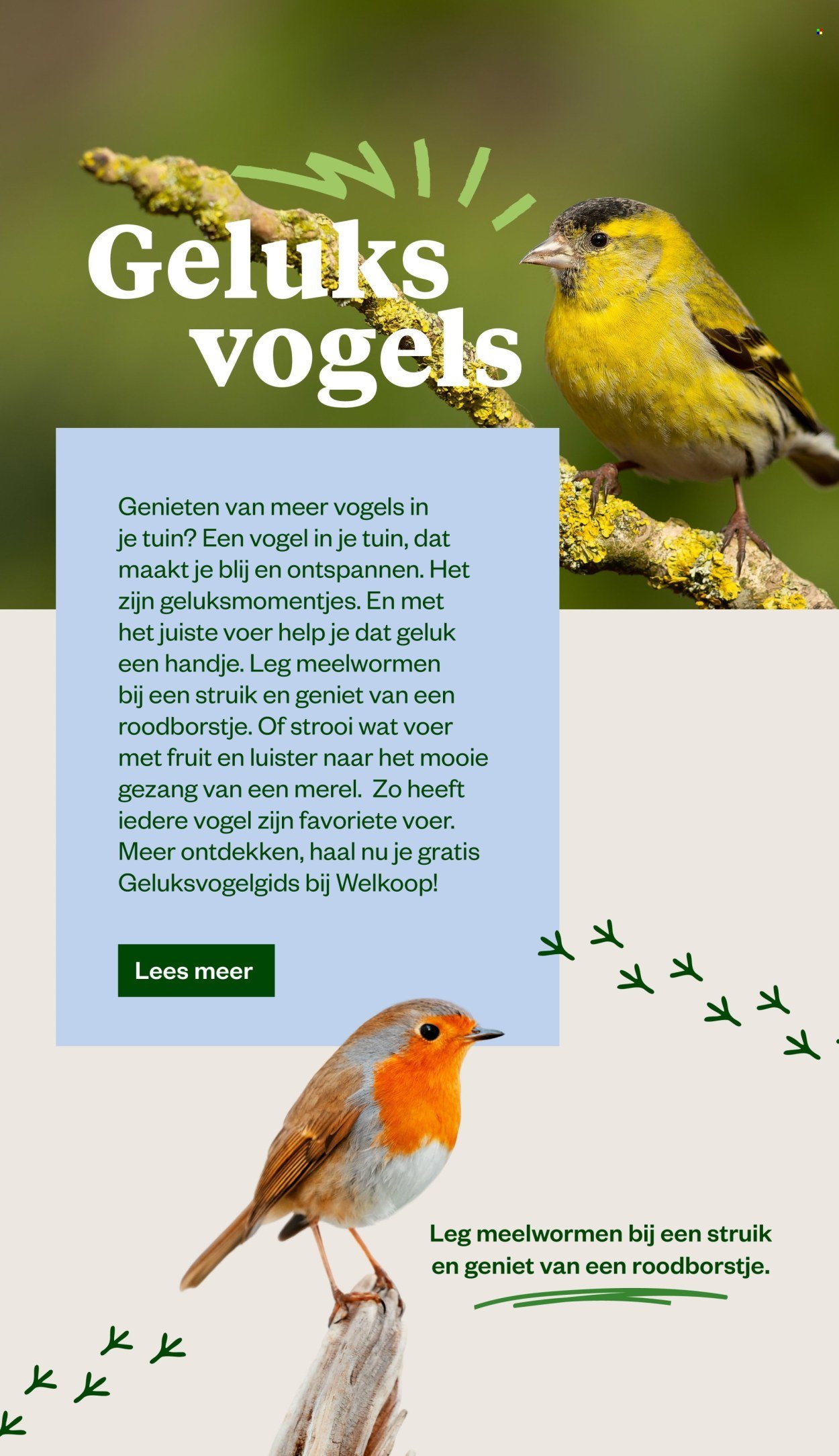 WELKOOP folder - Van maandag 6 oktober 2025 (2025-10-06 - 2025-10-19)