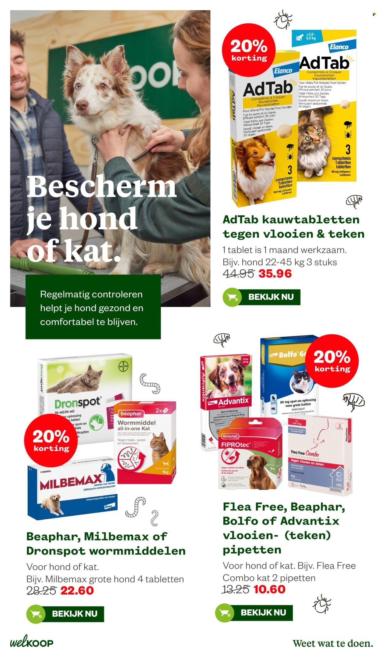 WELKOOP folder - Van maandag 2 maart 2026