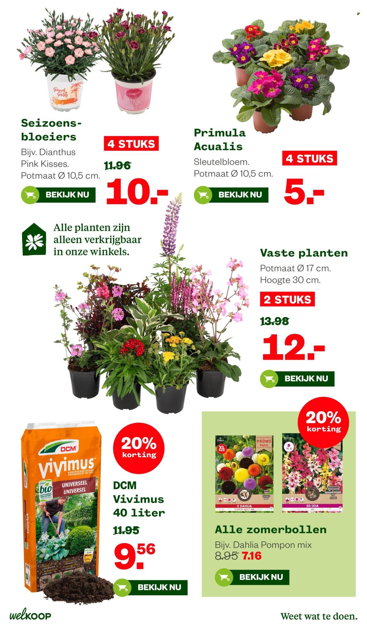 WELKOOP folder - Van maandag 2 maart 2026