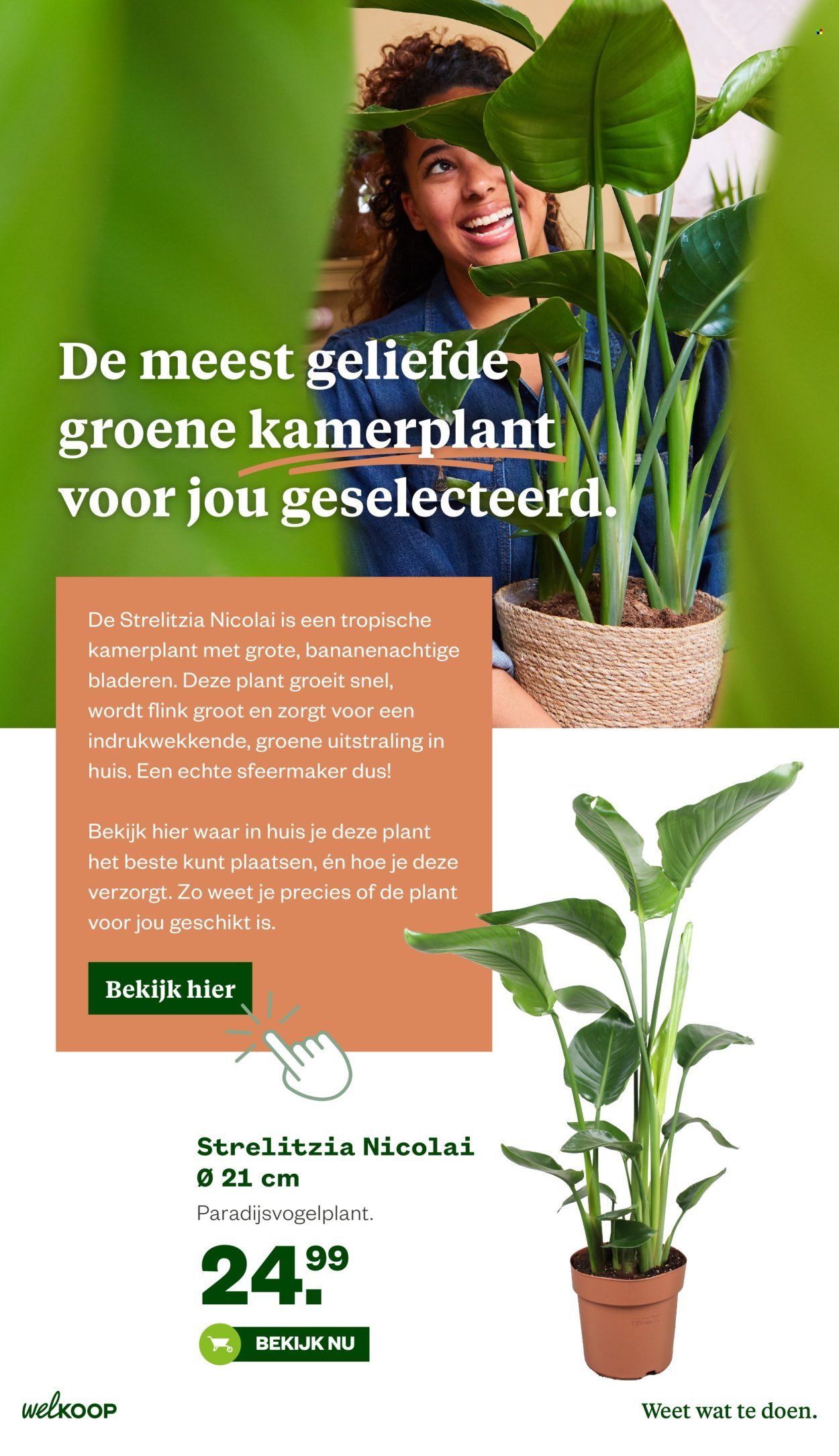 WELKOOP folder - Van maandag 2 maart 2026