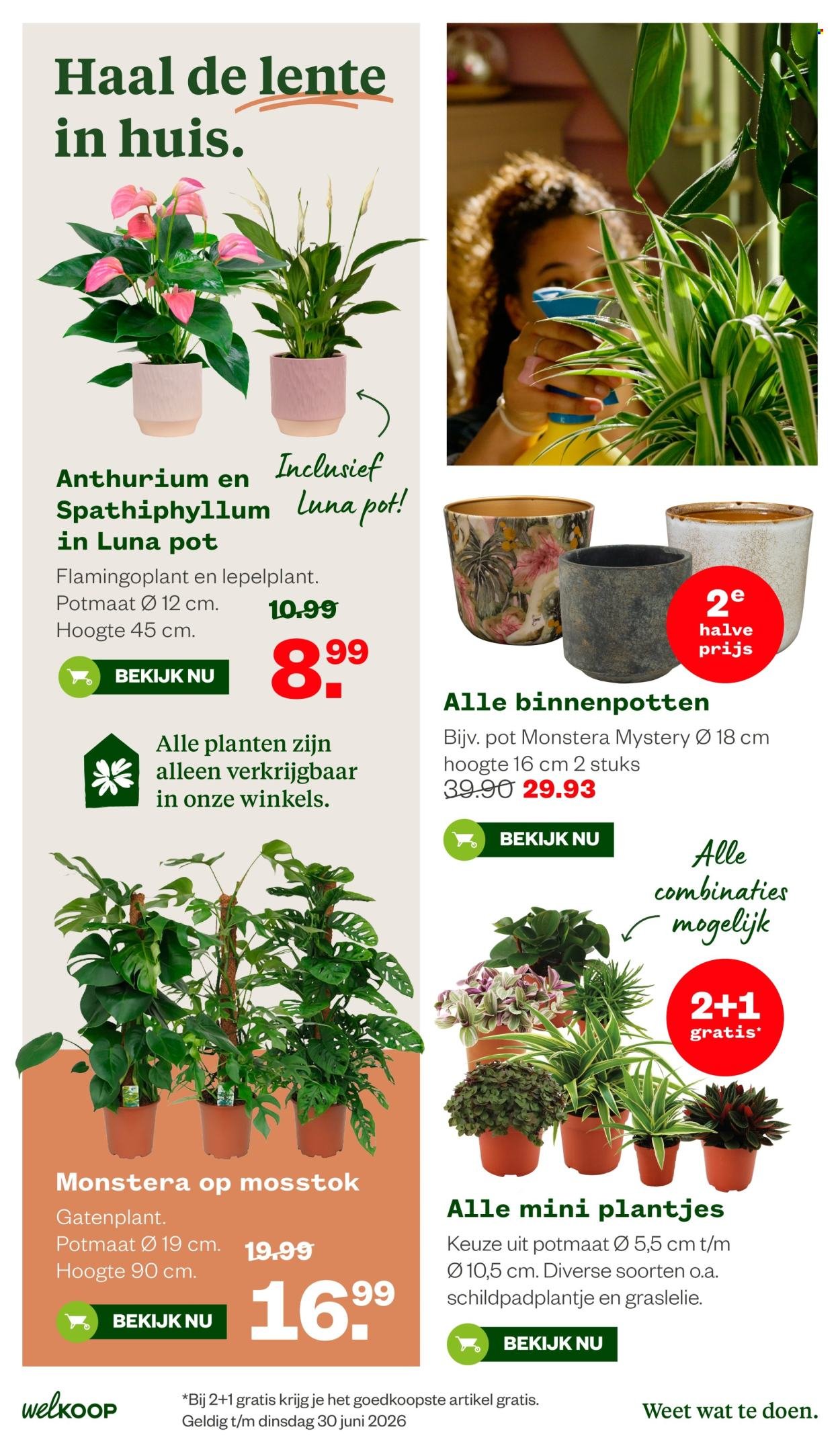 WELKOOP folder - Van maandag 2 maart 2026