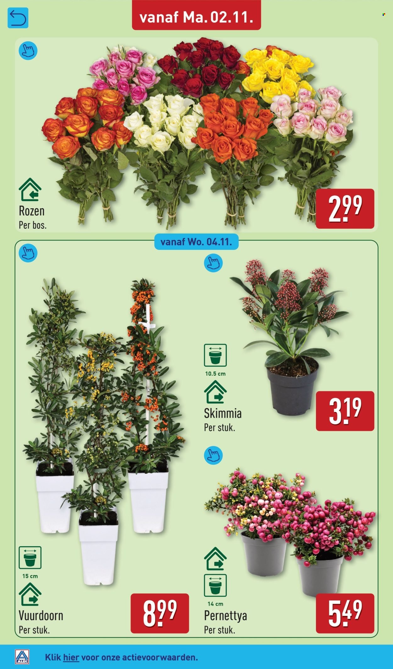 ALDI folder - Van maandag 2 november 2026