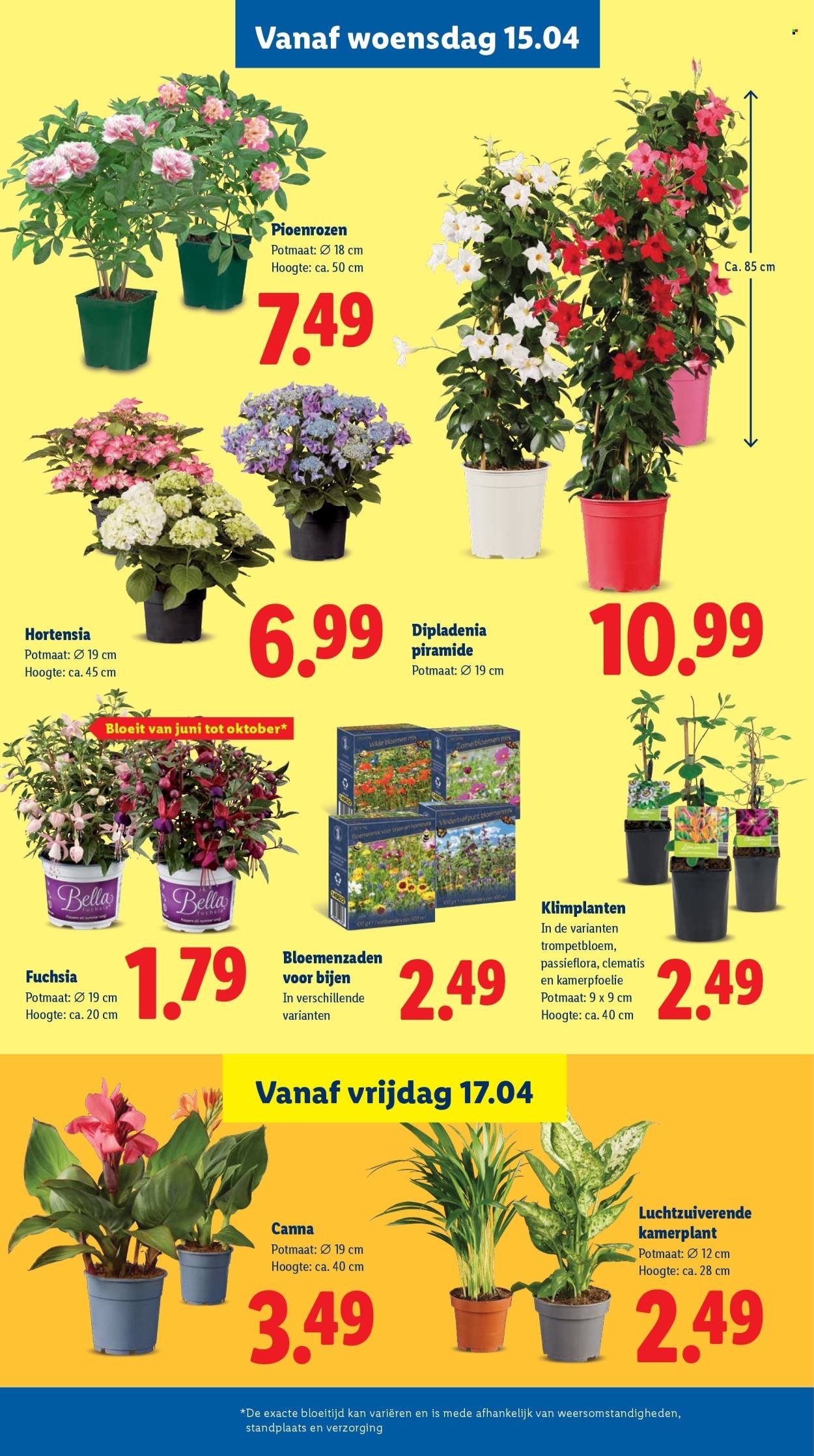 LIDL folder - Week 16 (2026-04-13 - 2026-04-19)