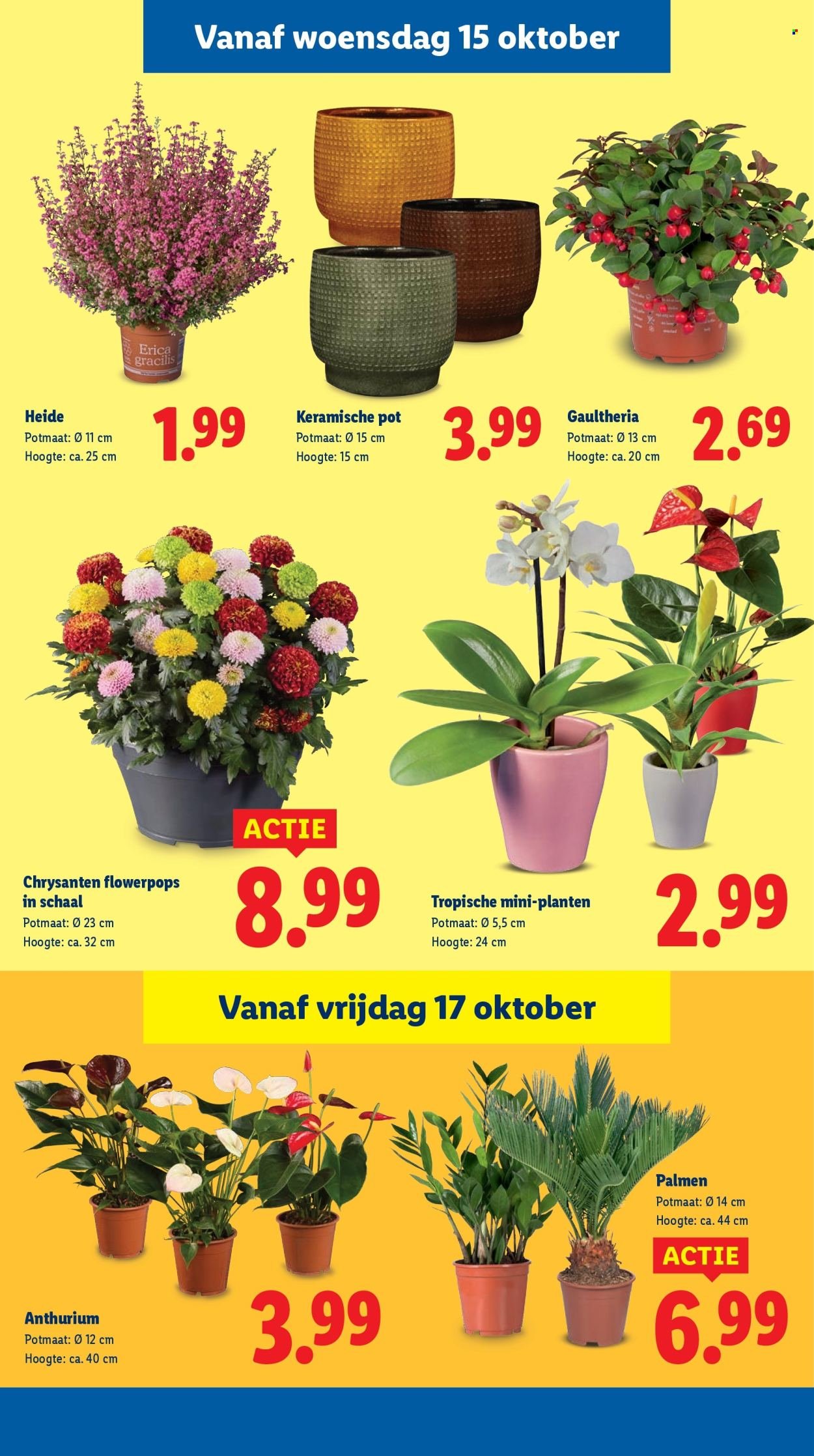 LIDL folder - Week 42 (2025-10-13 - 2025-10-19)