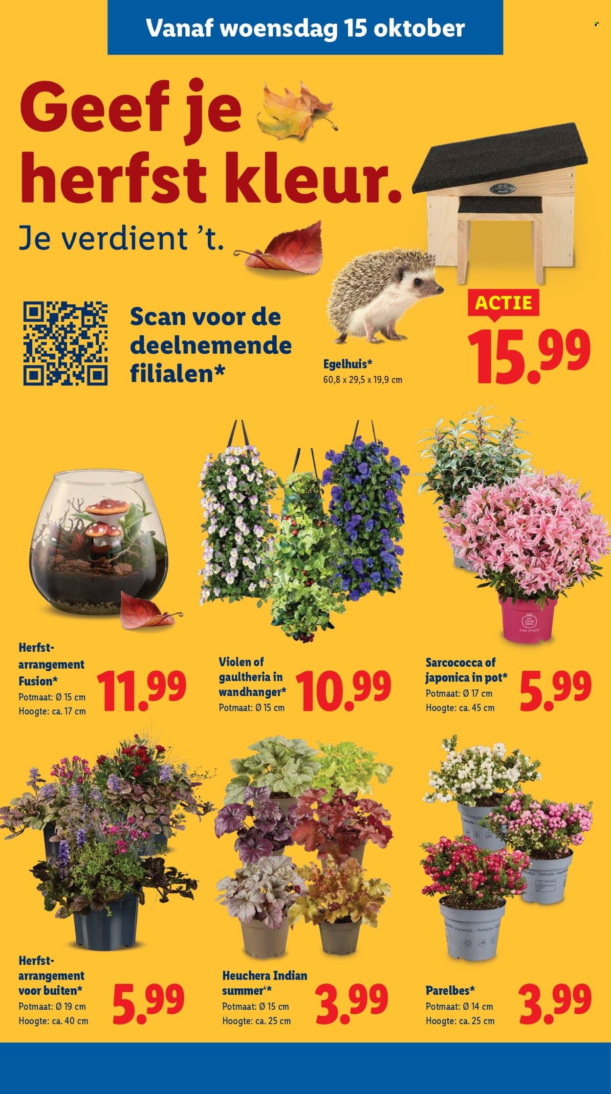 LIDL folder - Week 42 (2025-10-13 - 2025-10-19)