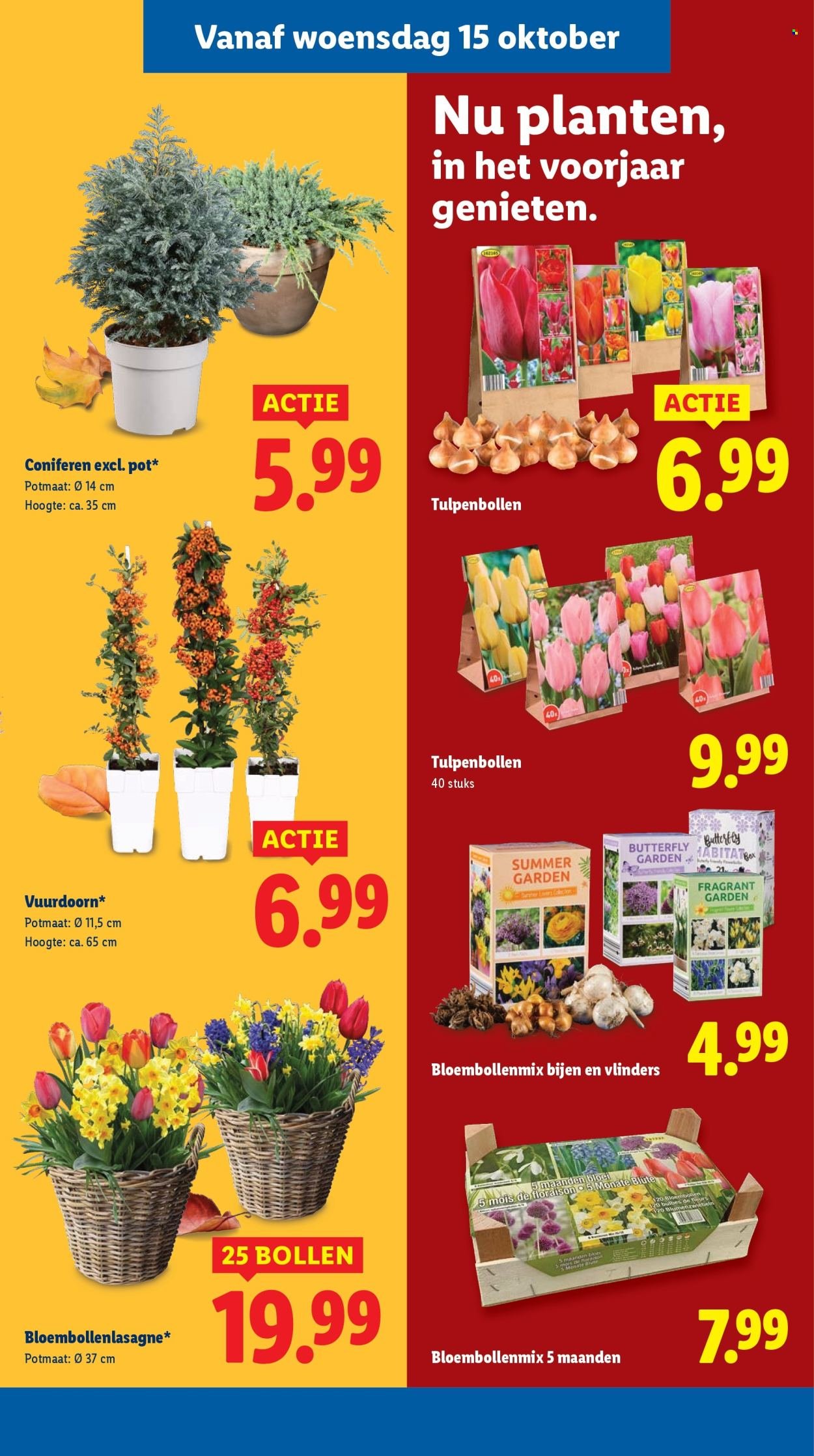 LIDL folder - Week 42 (2025-10-13 - 2025-10-19)