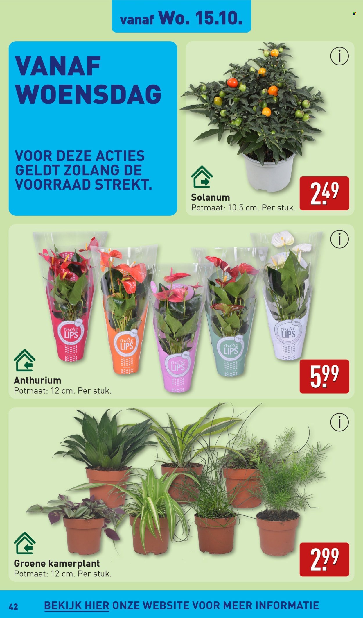 ALDI folder - Van maandag 13 oktober 2025 (2025-10-13 - 2025-10-19)