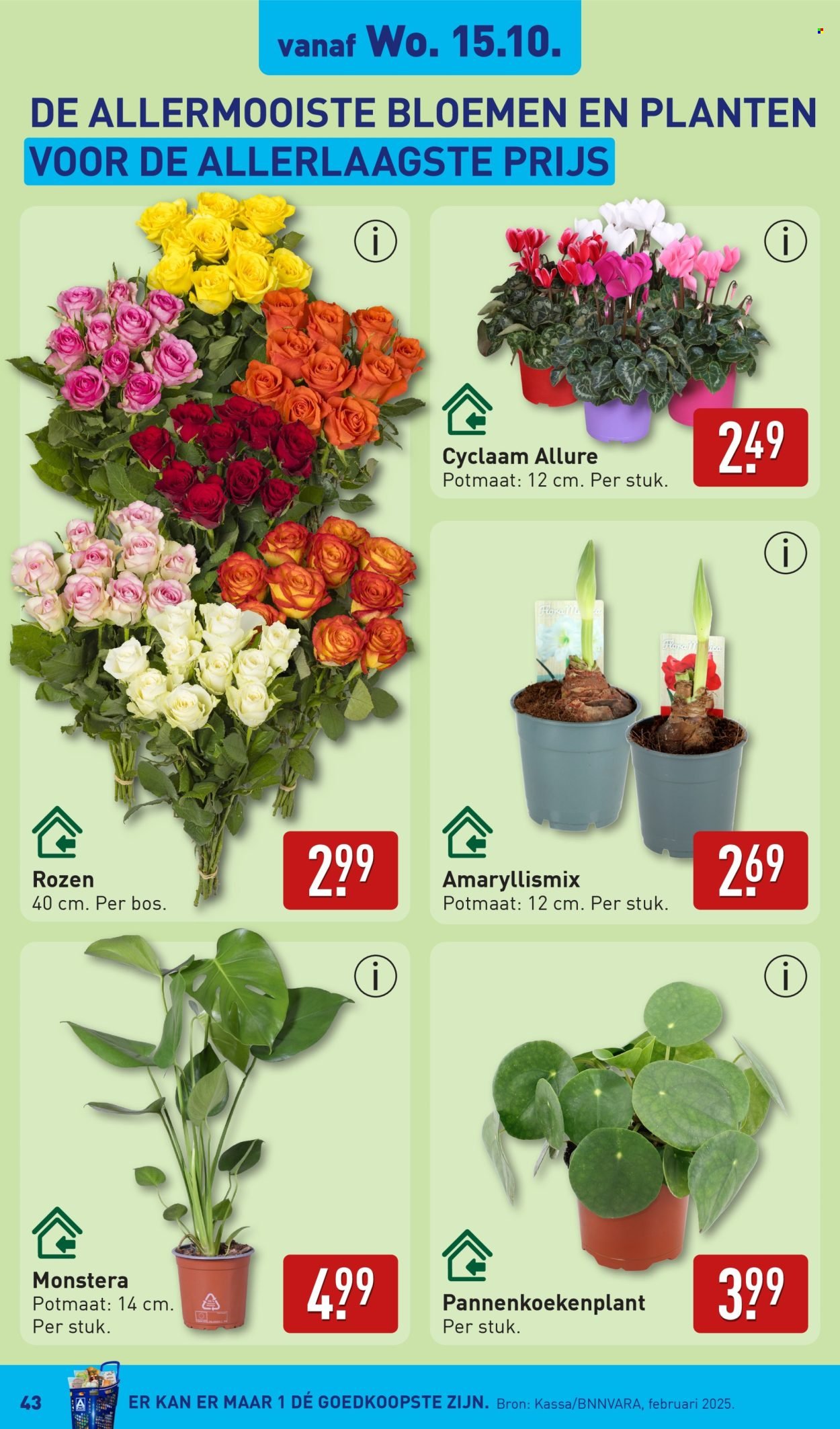 ALDI folder - Van maandag 13 oktober 2025 (2025-10-13 - 2025-10-19)