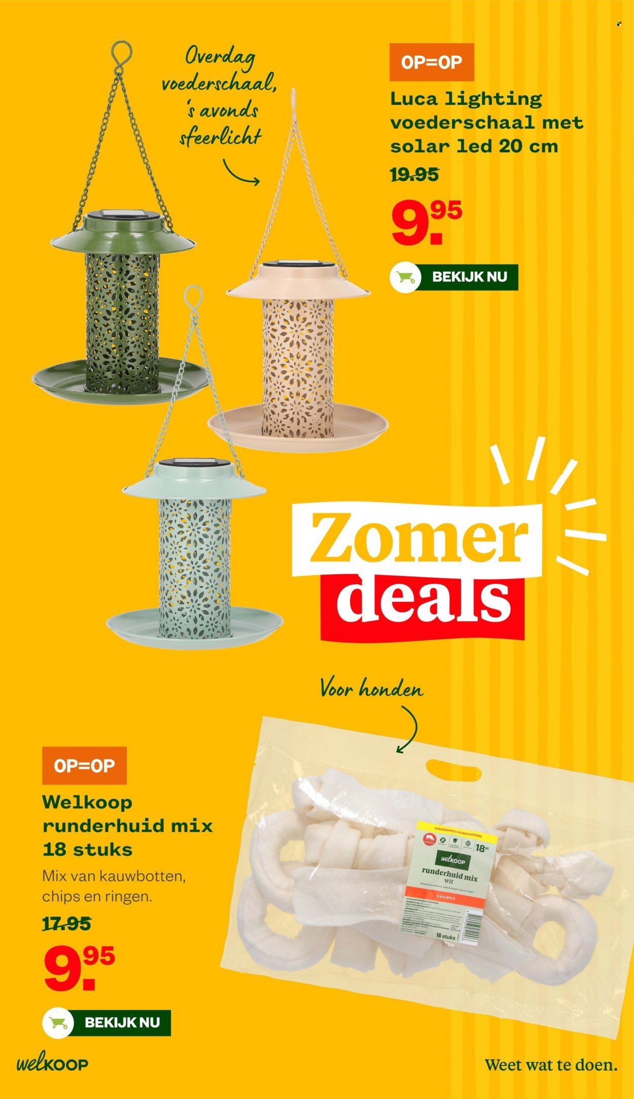 WELKOOP folder - Van maandag 10 augustus 2026