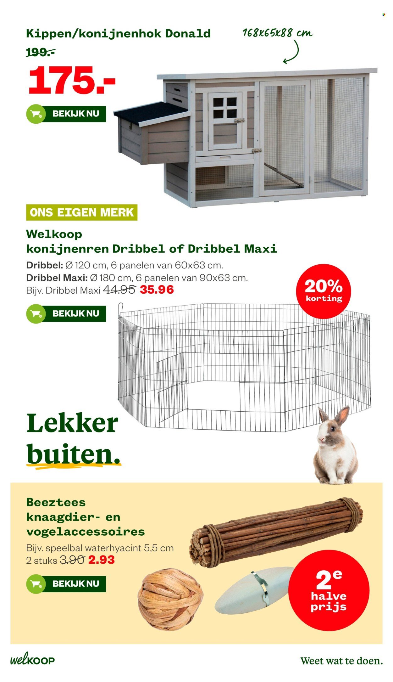 WELKOOP folder - Van maandag 10 augustus 2026