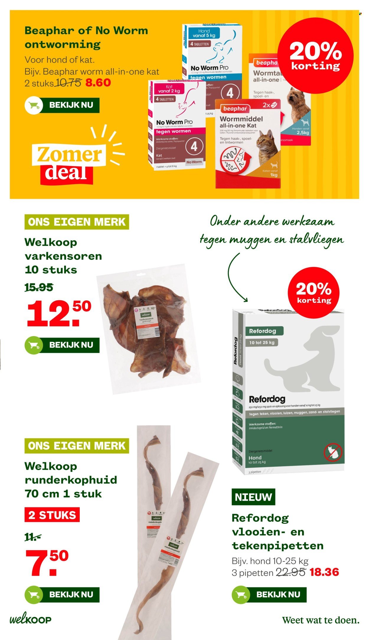 WELKOOP folder - Van maandag 10 augustus 2026