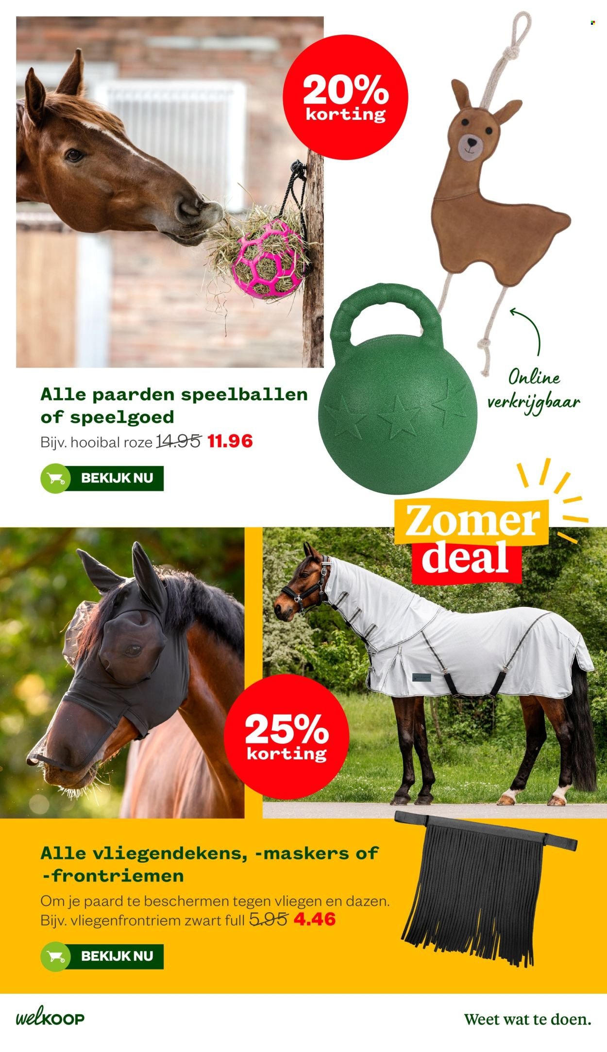 WELKOOP folder - Van maandag 10 augustus 2026