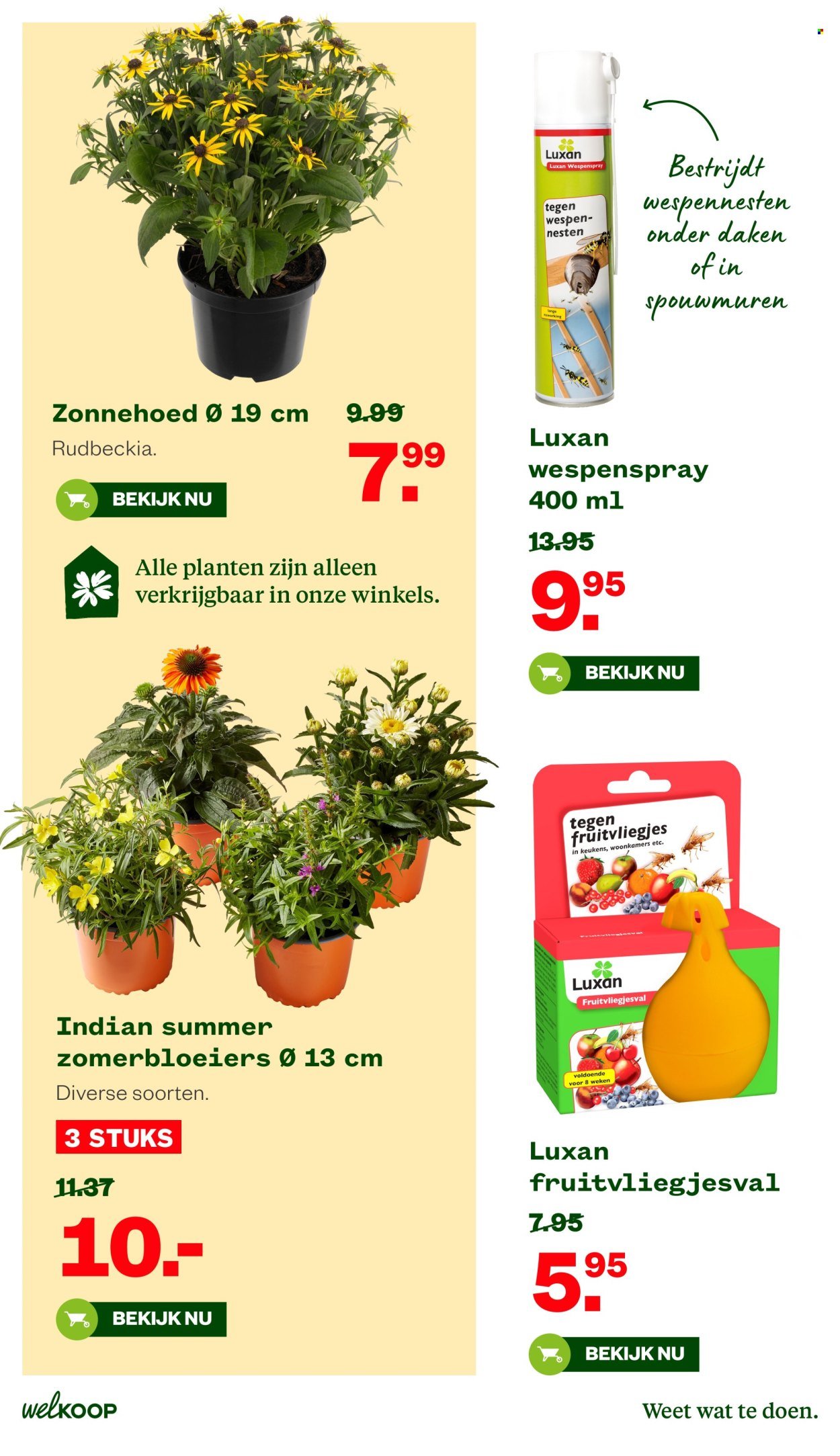 WELKOOP folder - Van maandag 10 augustus 2026