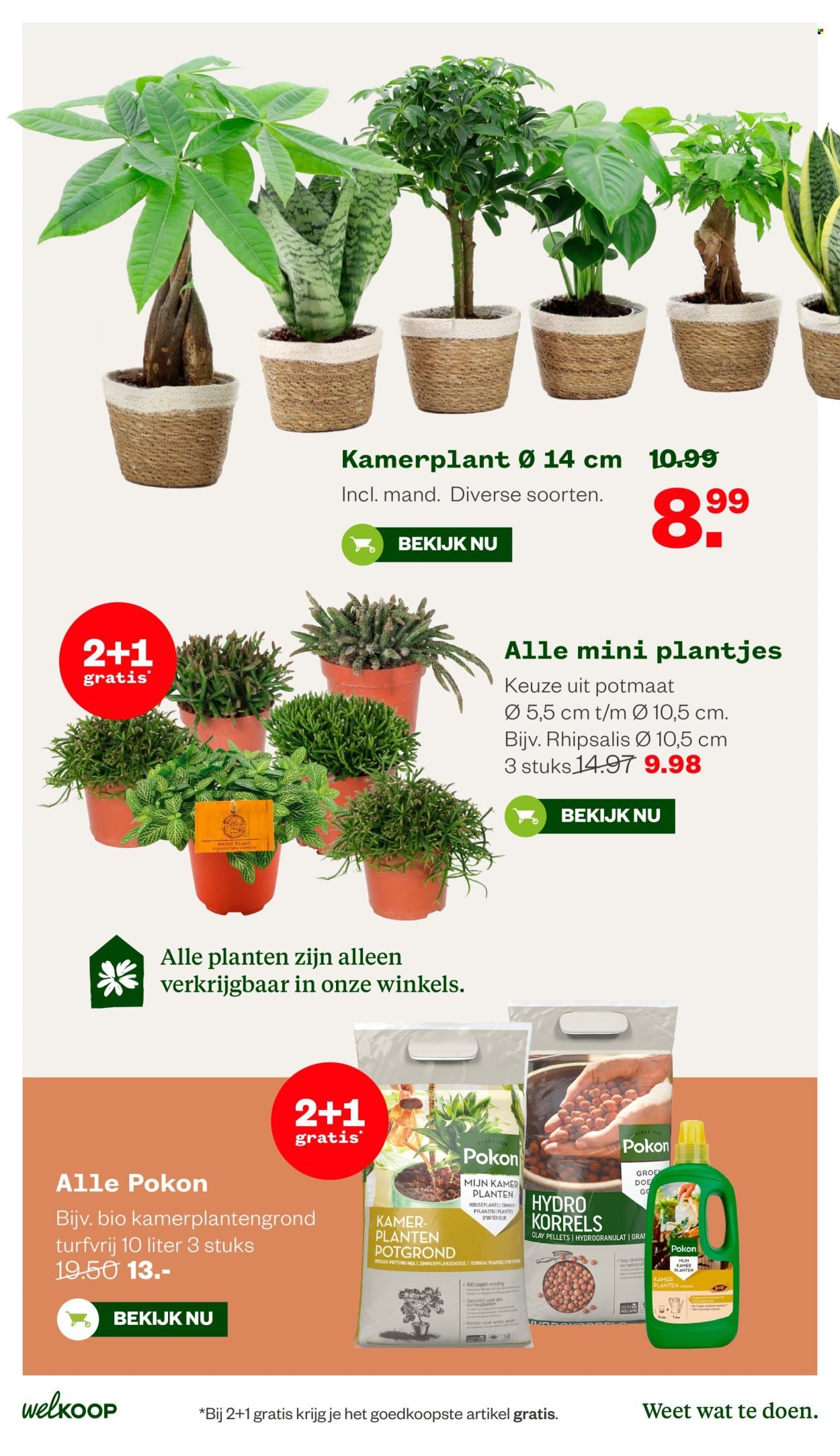 WELKOOP folder - Van maandag 10 augustus 2026